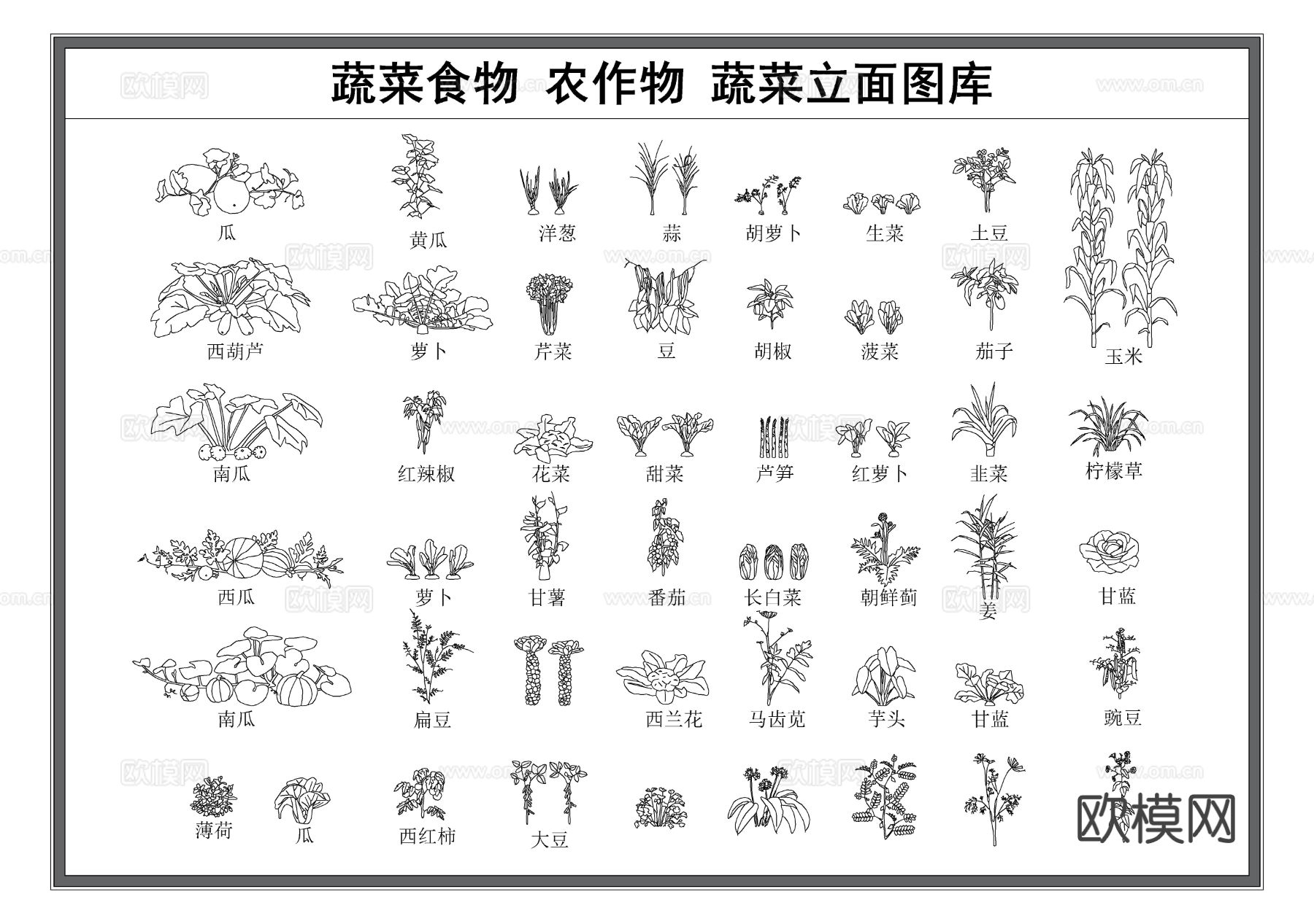 蔬菜食物 农作物 瓜果蔬菜立面图cad图库