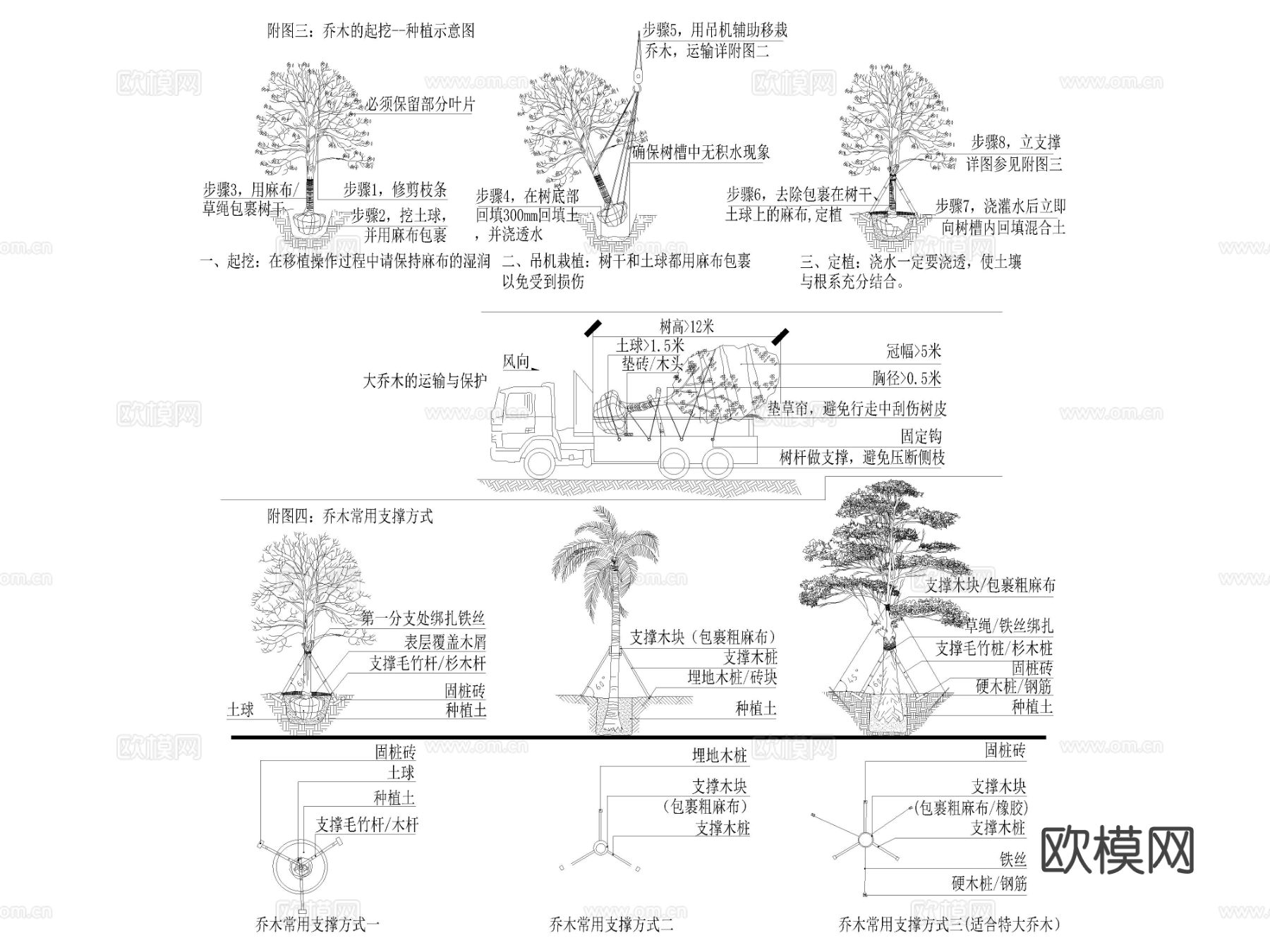 2025年最新植物绿化种植设计说明cad大样图