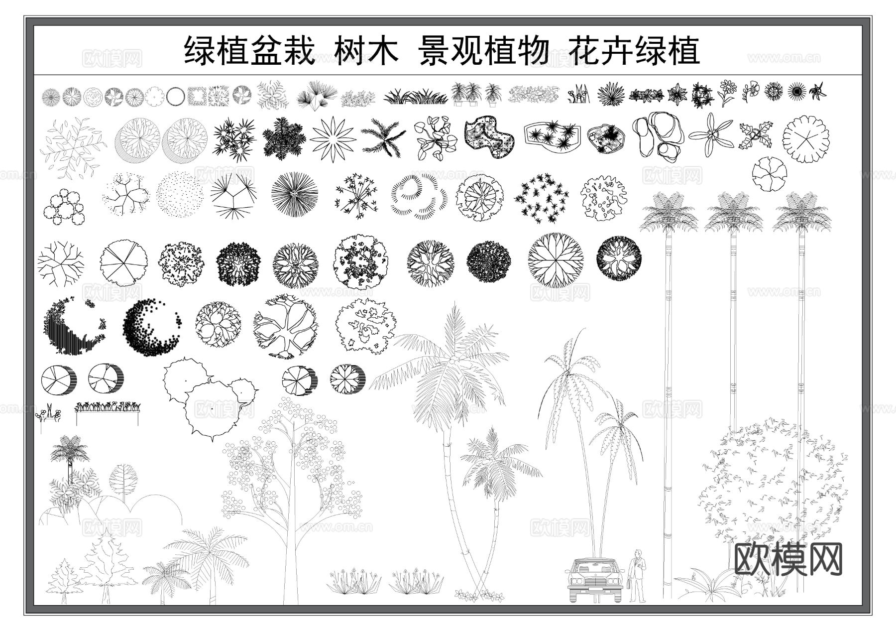 绿植盆栽 树木 景观植物 园林绿化CAD图库