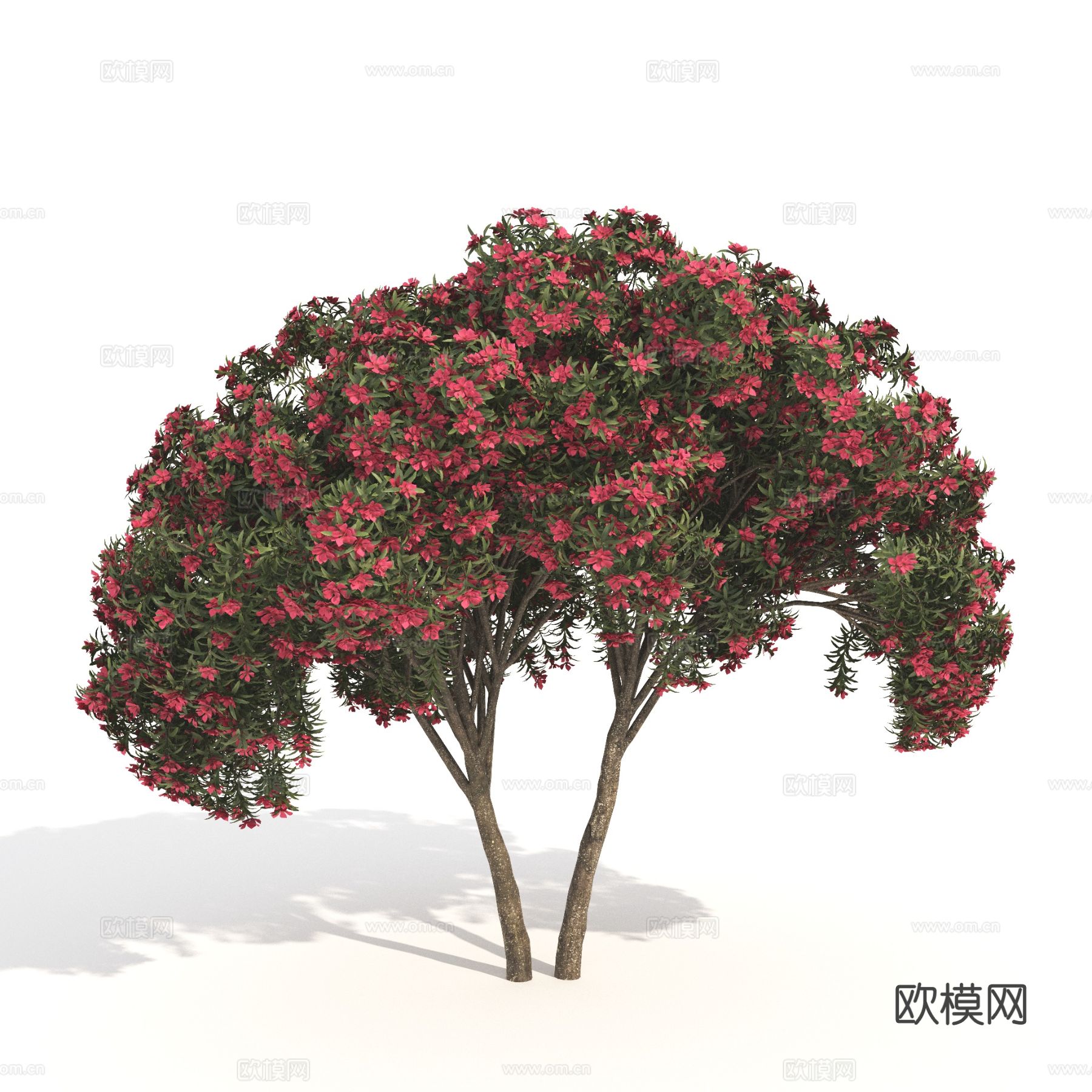 景观树 树木 矮树 花树3d模型