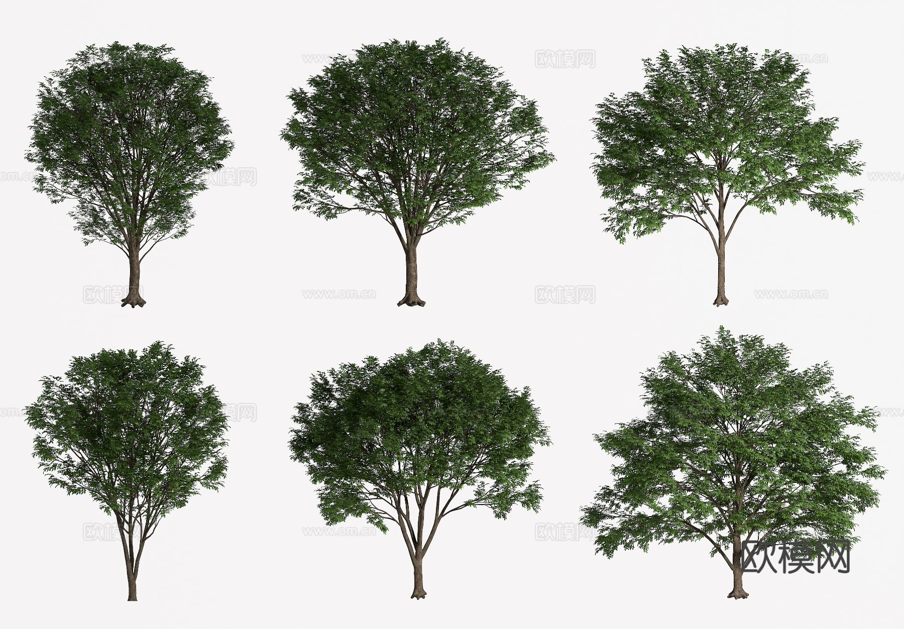 树木 景观树 行道树 绿化树3d模型