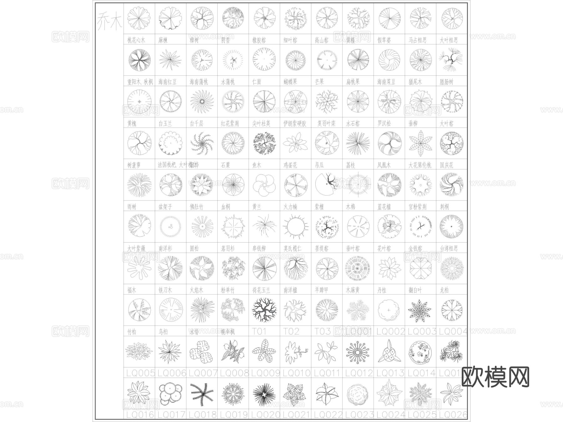 2025年超全园林植物 苗木表苗木图例CAD图库