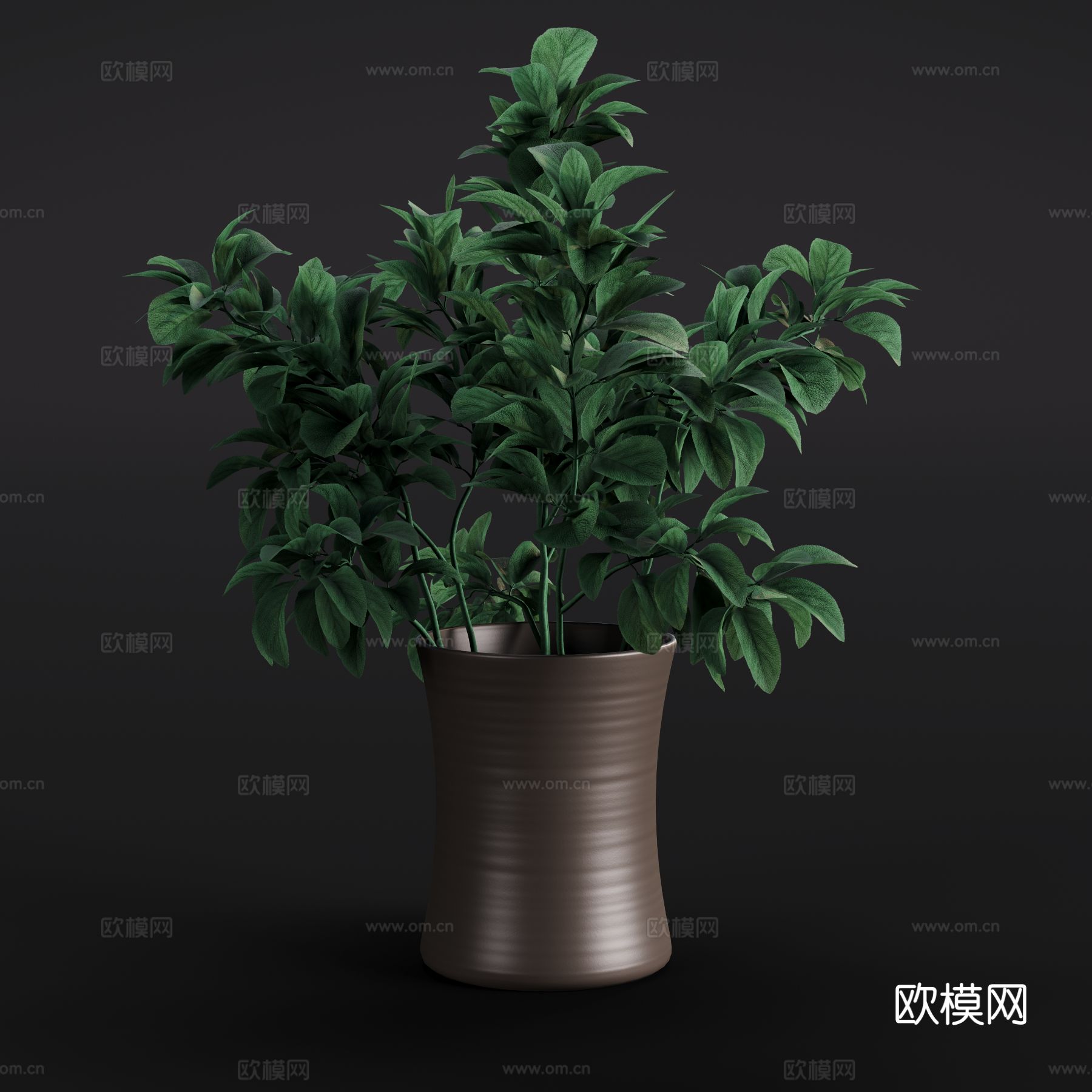 现代水苏 绿植盆栽 室内绿植3d模型