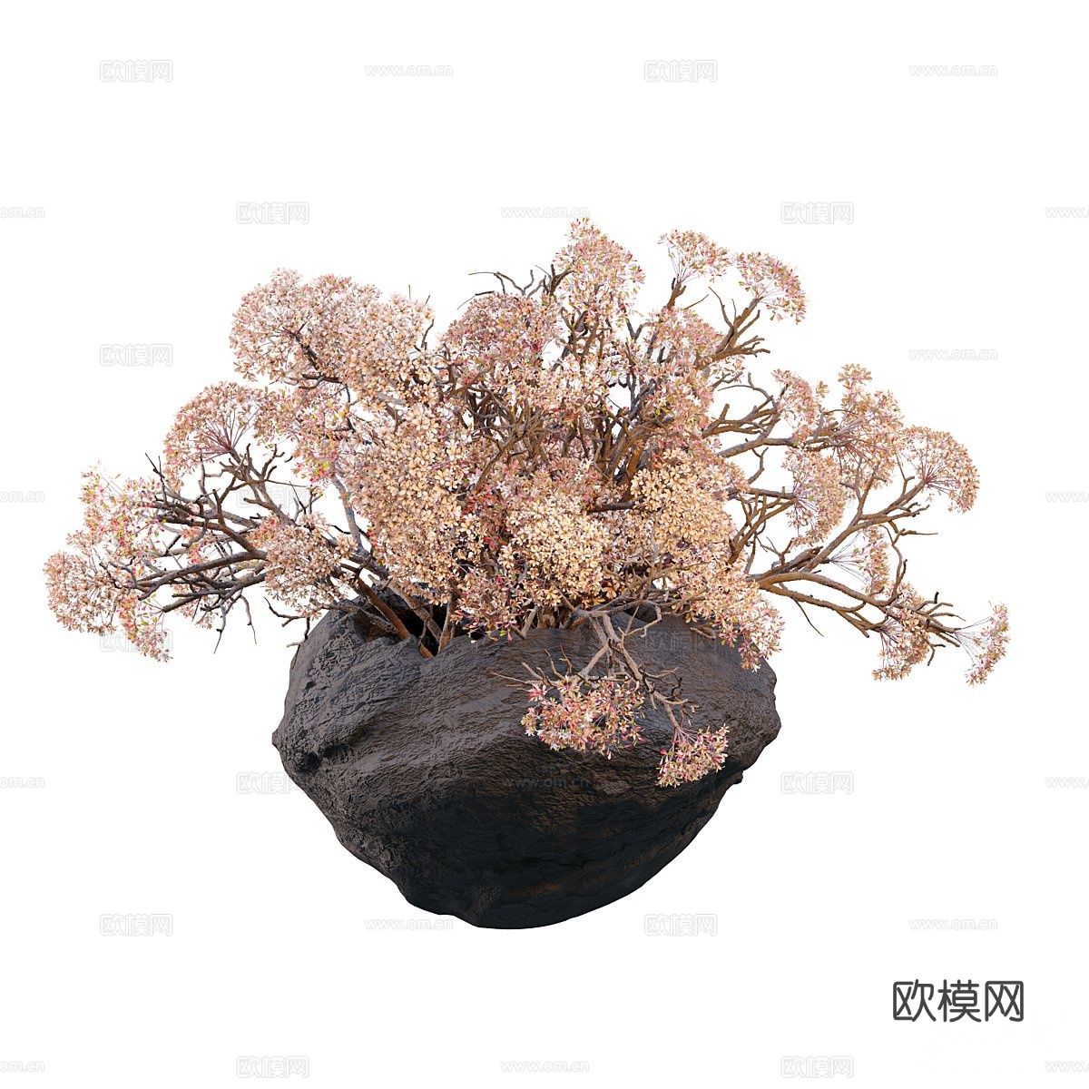 侘寂花瓶 花艺 干花 插花3d模型