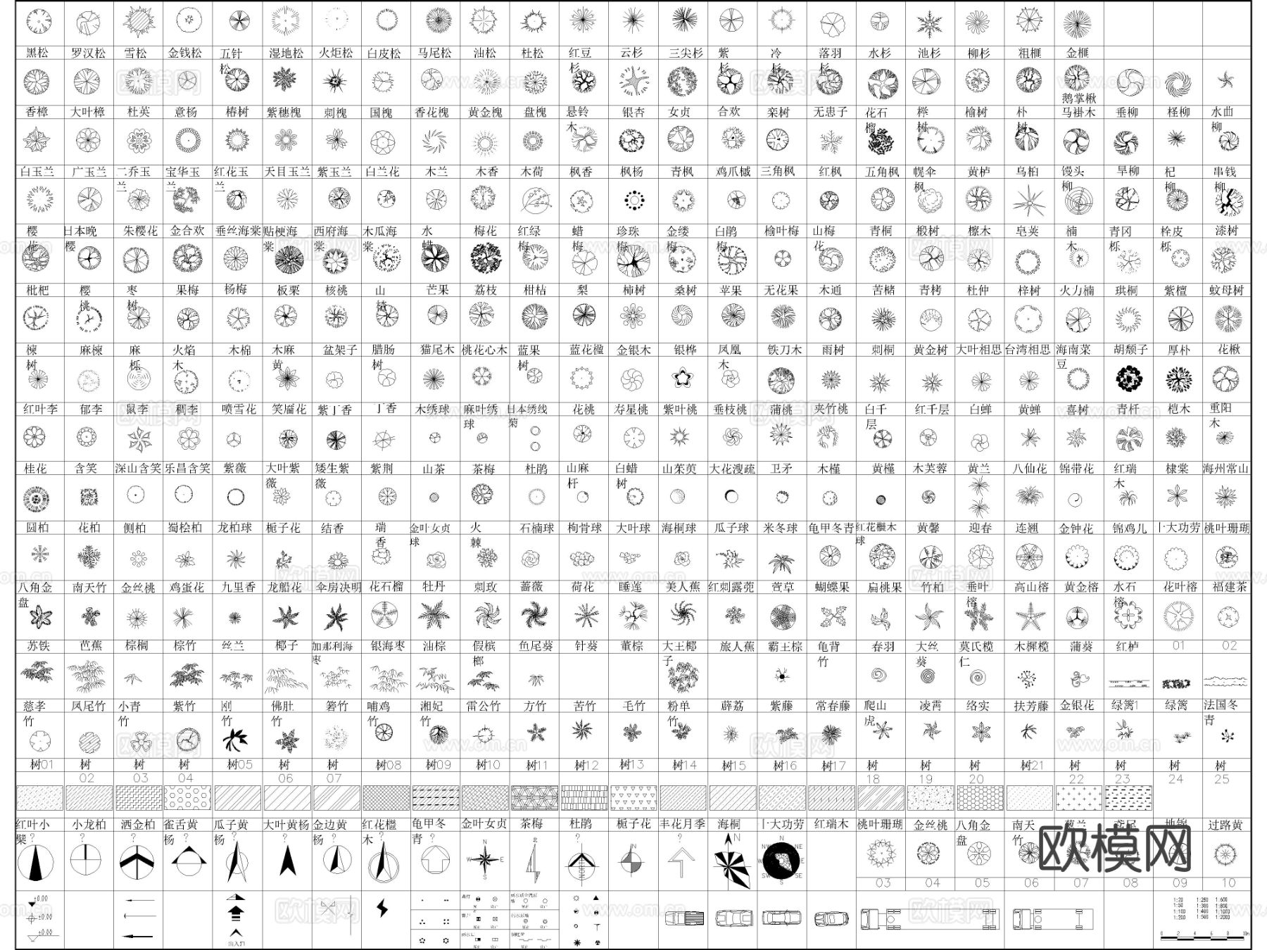 2025年超全园林植物 苗木表苗木图例CAD图库