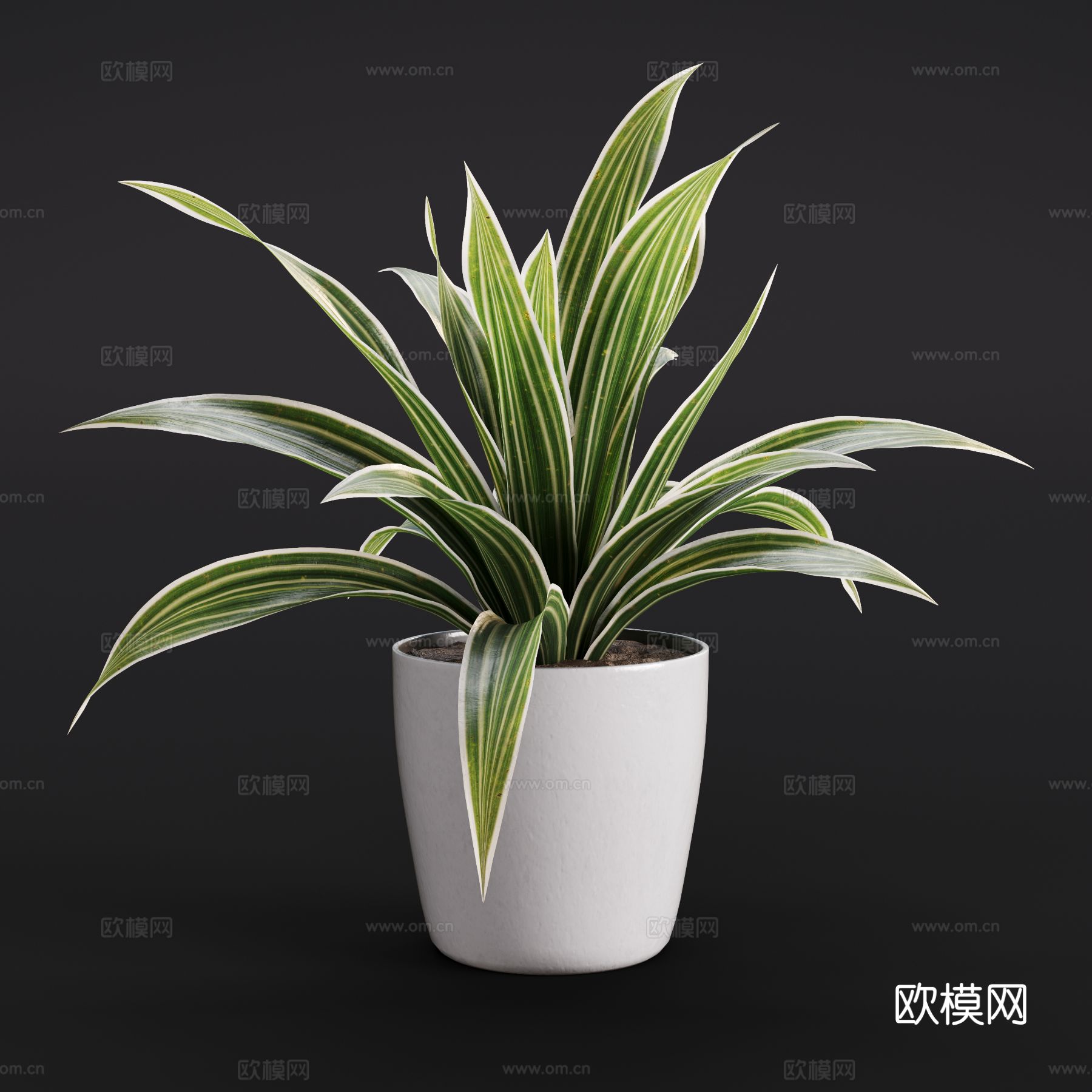 现代紫露草 绿植盆栽 室内绿植3d模型