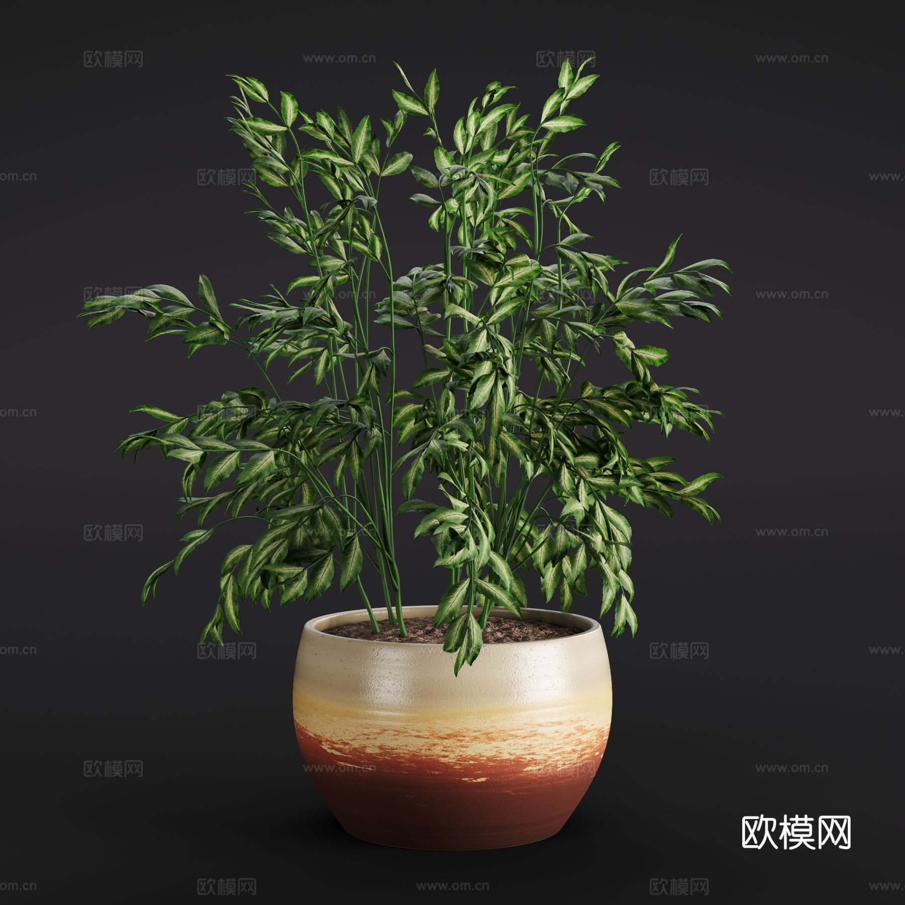 现代蕨类 绿植盆栽 室内绿植3d模型