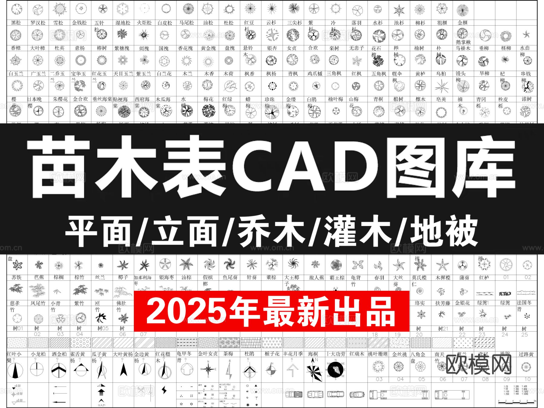 2025年超全园林植物 苗木表苗木图例CAD图库