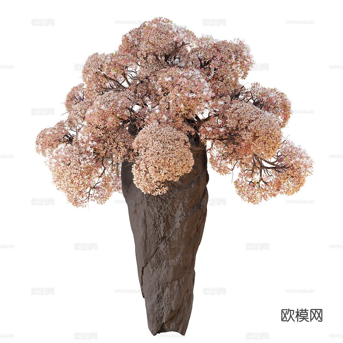 侘寂花瓶 花艺 干花 插花3d模型