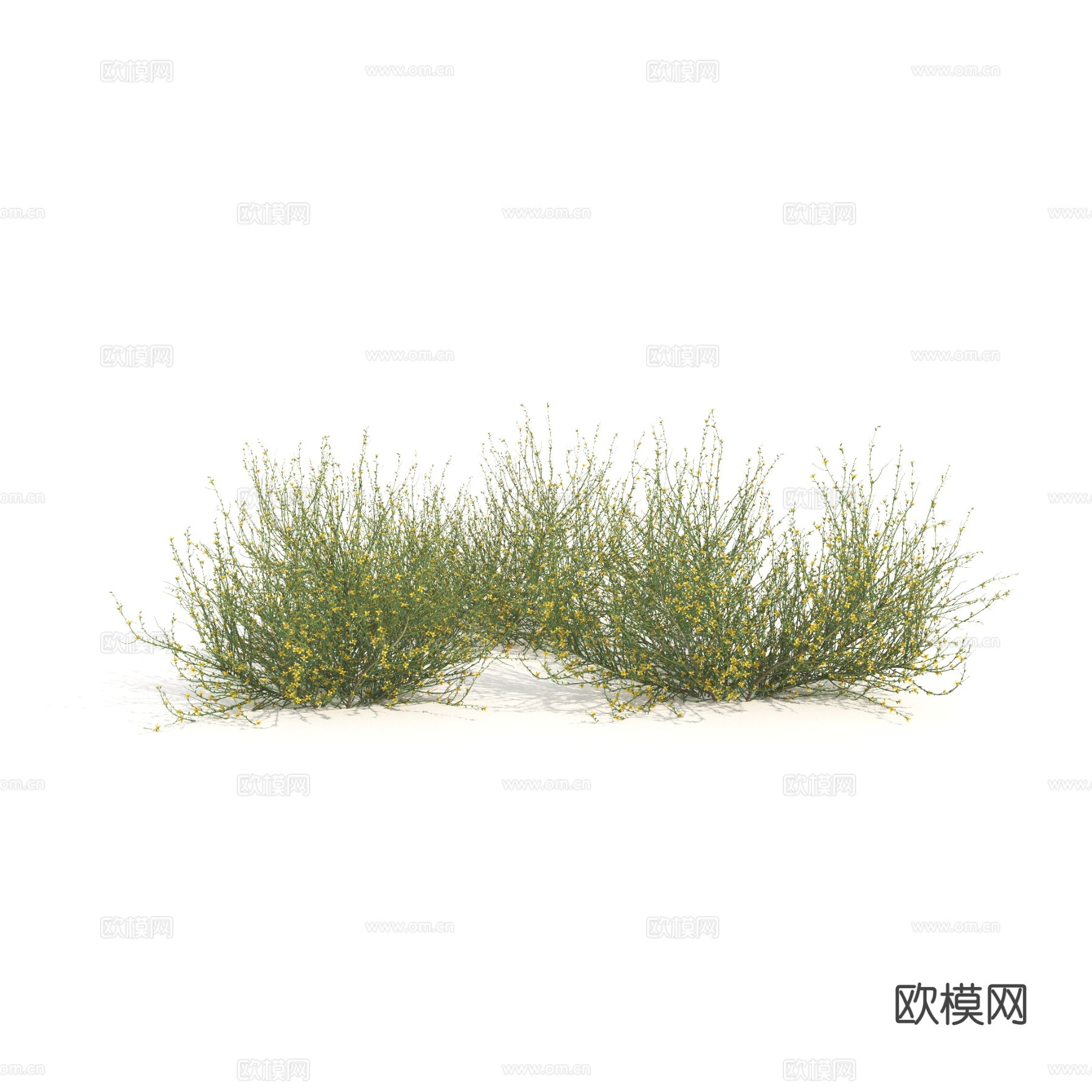 植物 绿植 灌木 花草 茅草3d模型