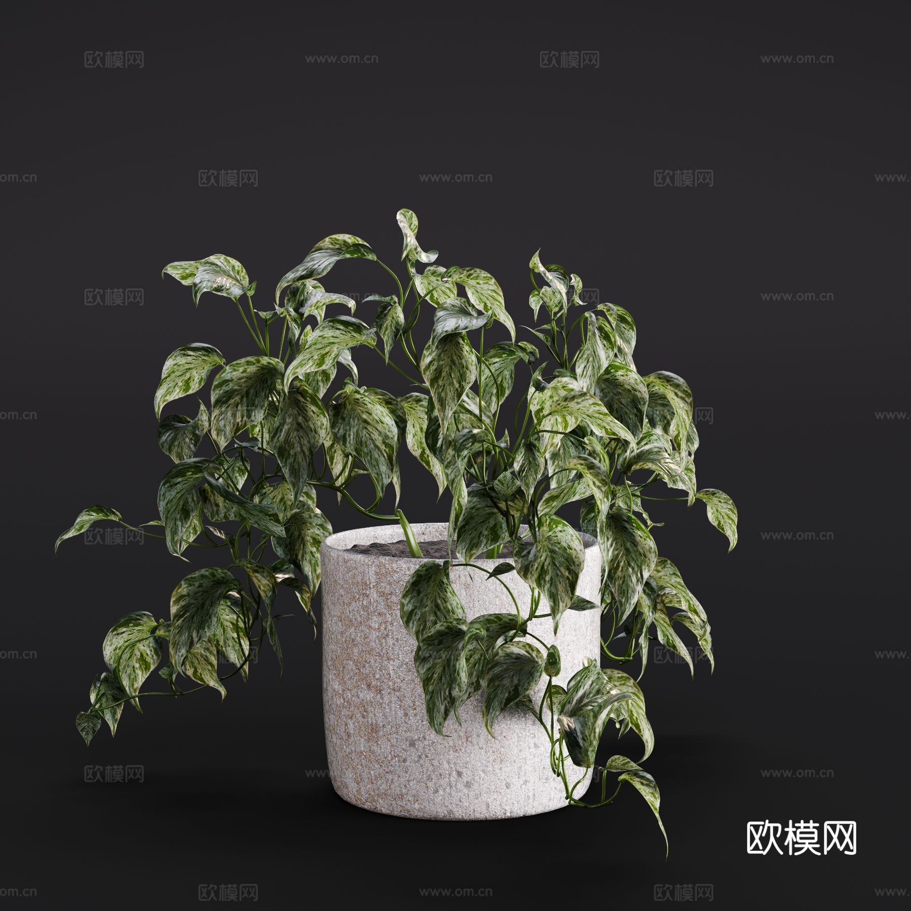 现代绿植盆栽 室内绿植 盆景3d模型