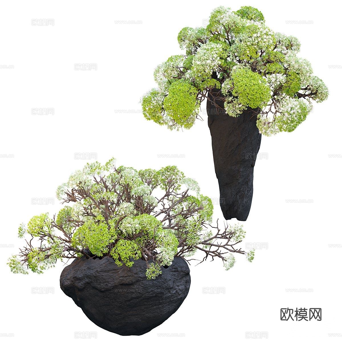 侘寂花瓶 花艺 干花 插花3d模型