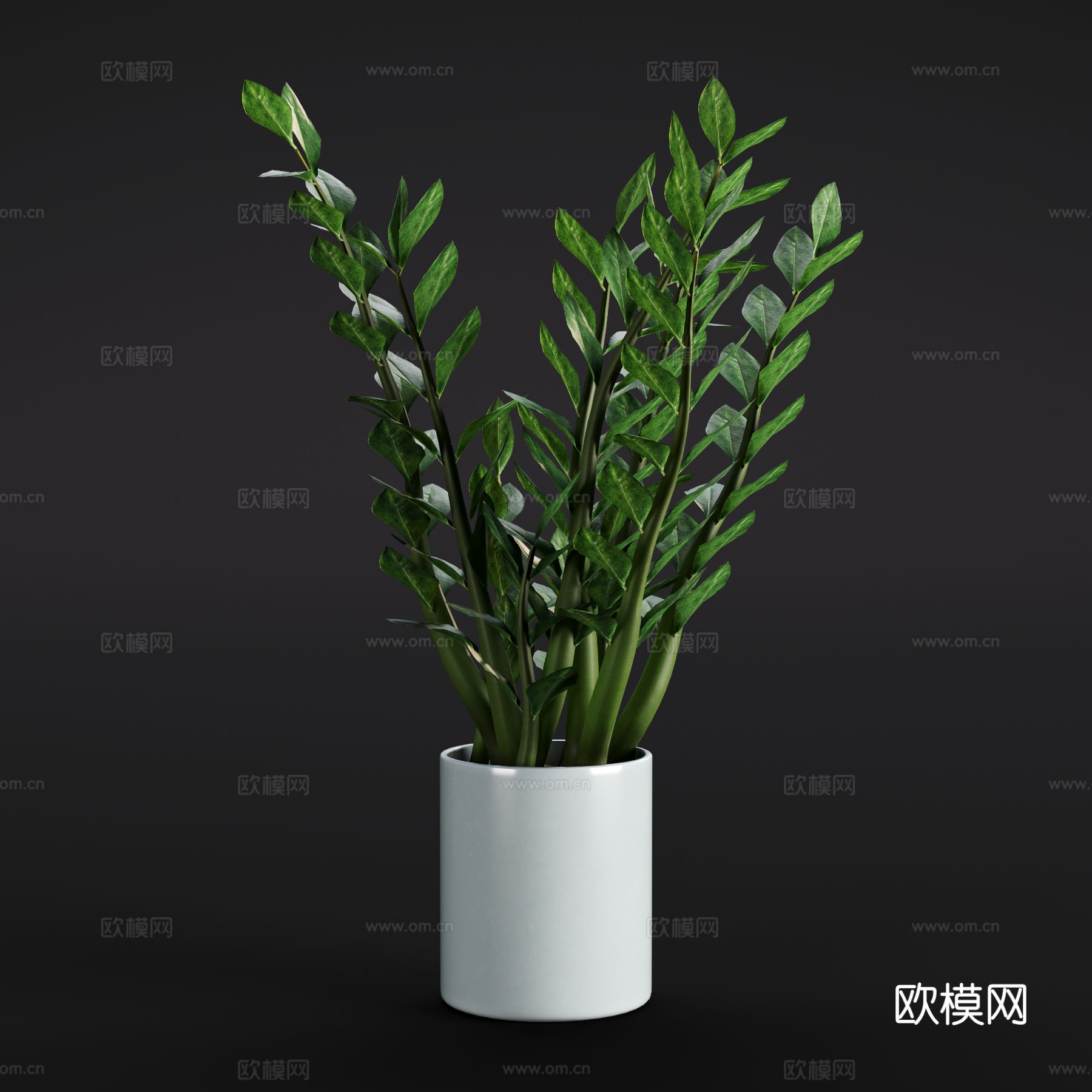 现代棕榈 绿植盆栽 室内绿植3d模型