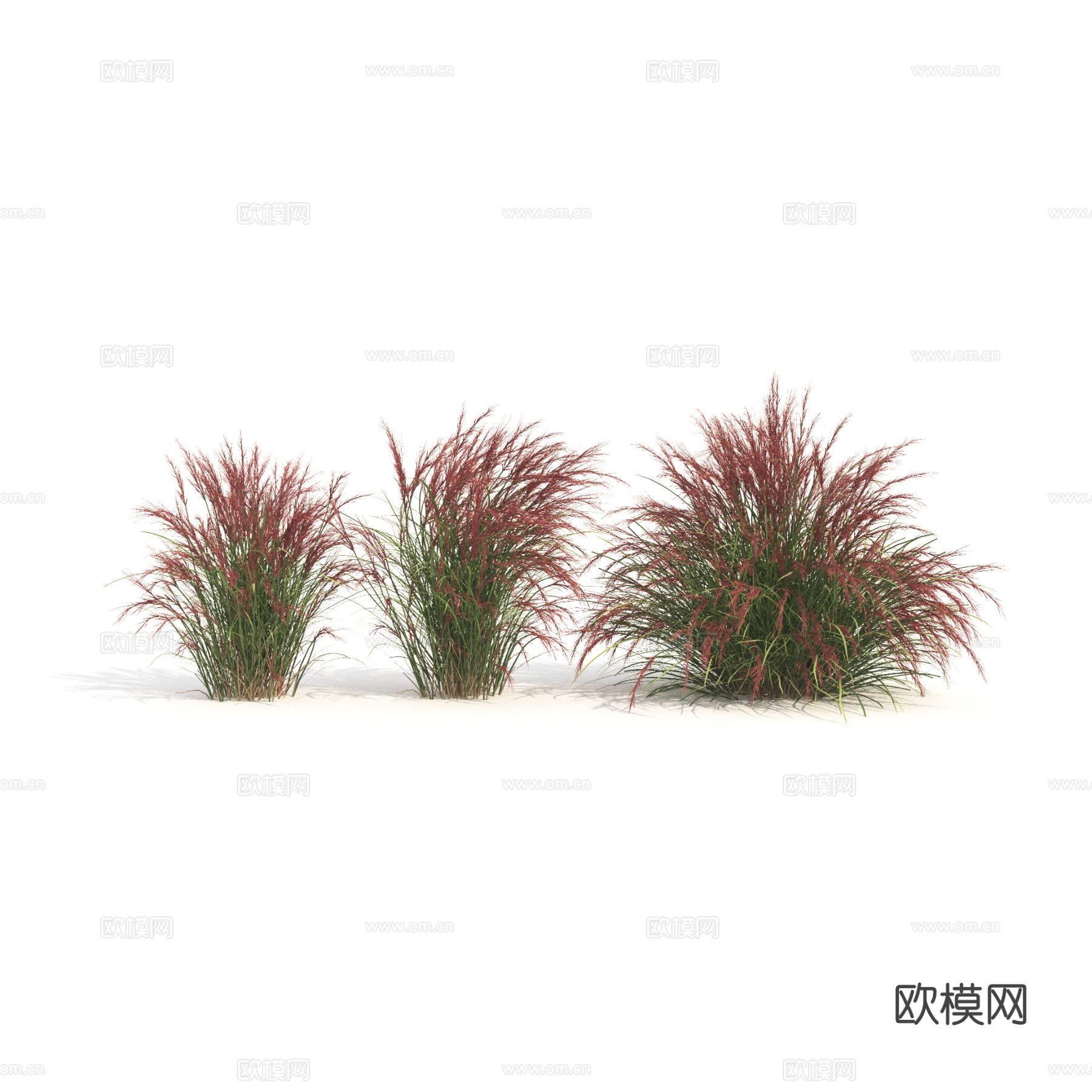 植物 绿植 灌木 花草 茅草3d模型