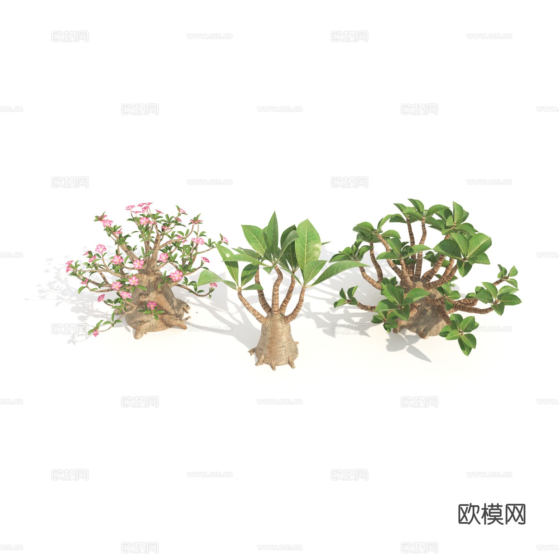 植物 绿植 灌木 花草3d模型