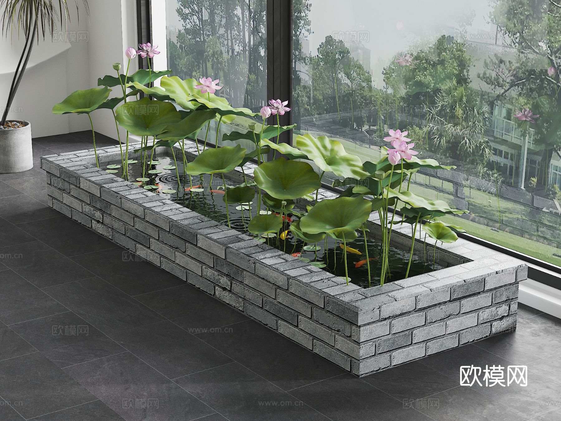 锦鲤池 原生水槽养鱼 荷花池 鱼池3d模型下载