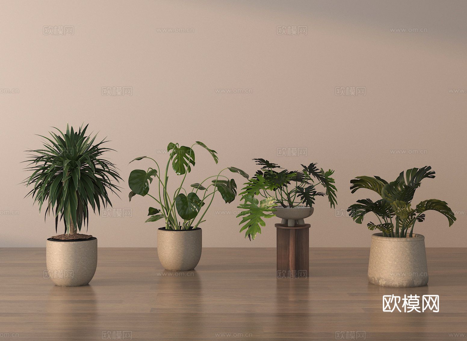 植物盆栽 龟背竹 绿植 花盆3d模型