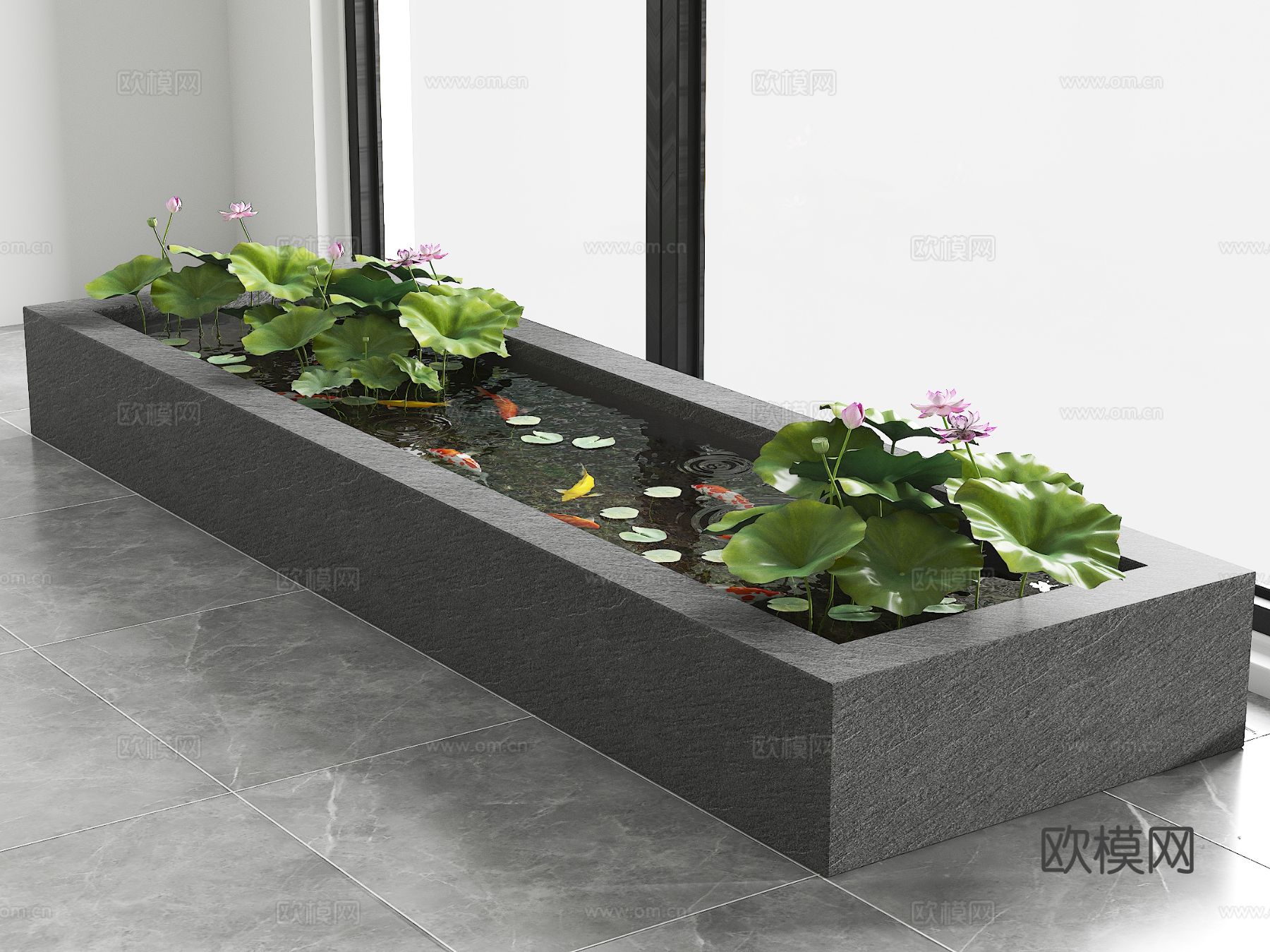 锦鲤池 原生水槽养鱼 荷花池3d模型下载