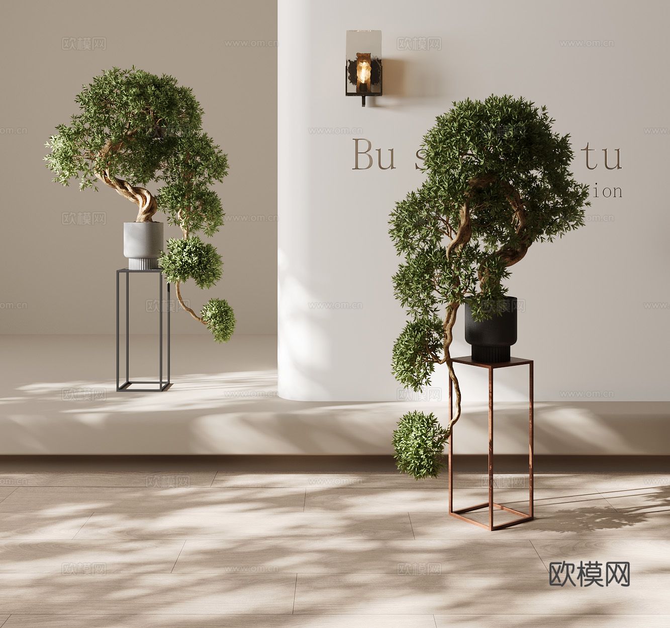 植物盆景 绿植 花盆3d模型