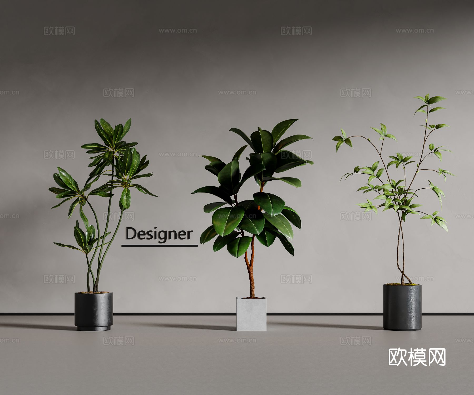 植物盆栽 绿植 花盆3d模型