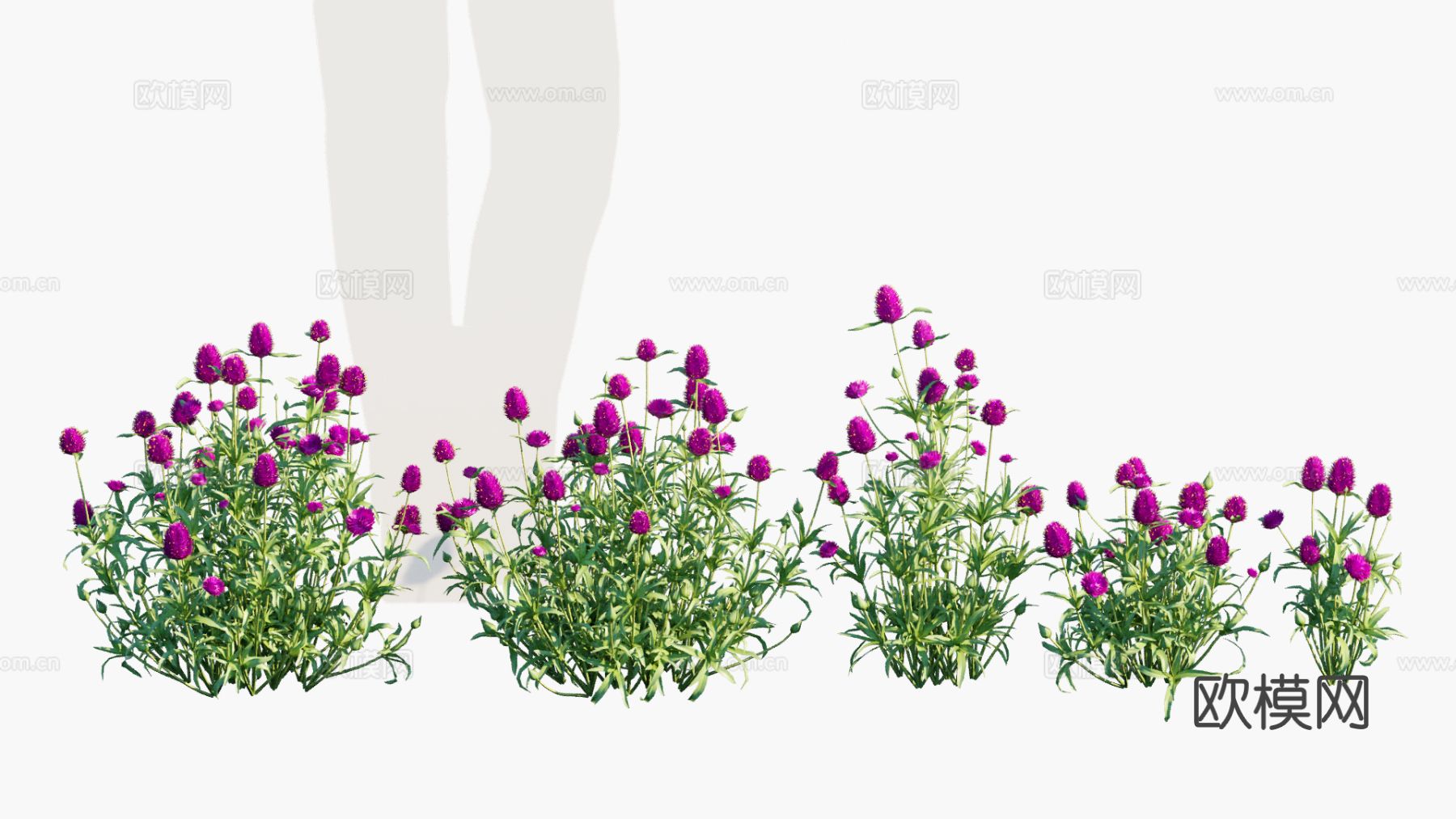 灌木 花草 花卉3d模型下载