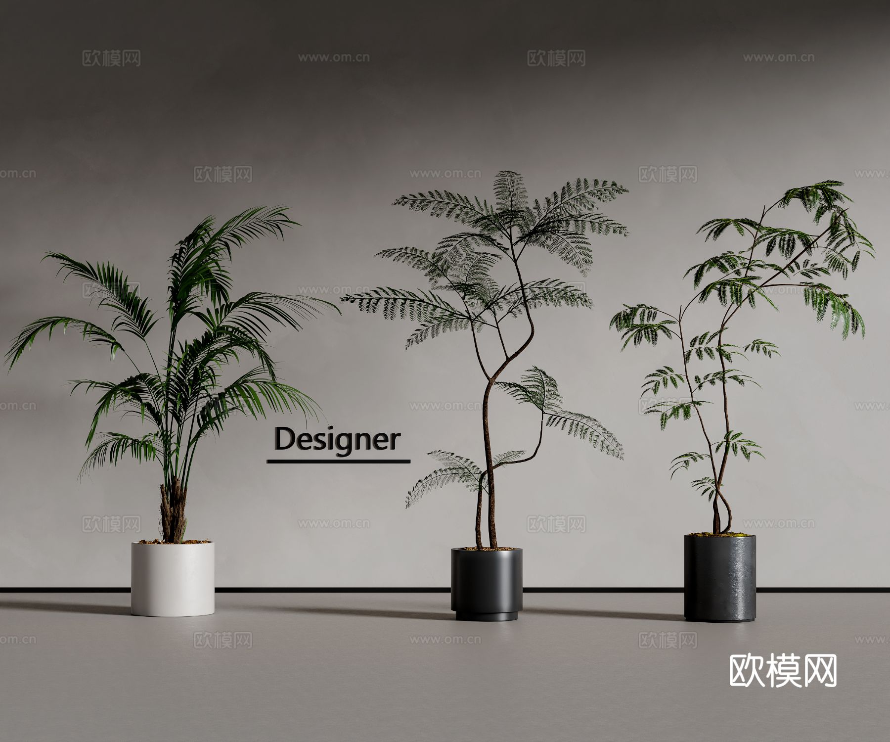 植物盆栽 绿植 花盆3d模型