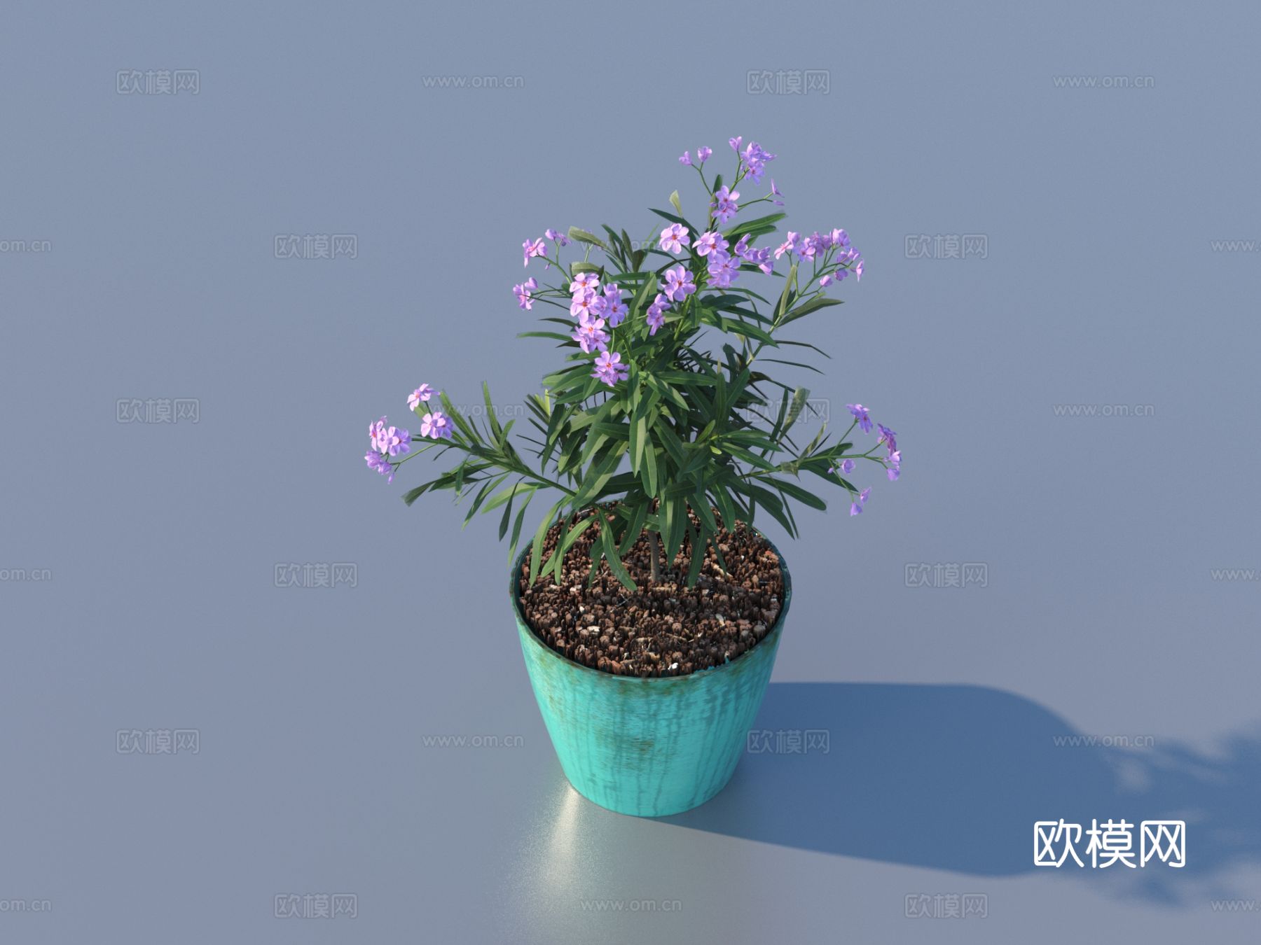 花盆 盆栽 绿植 植物3d模型