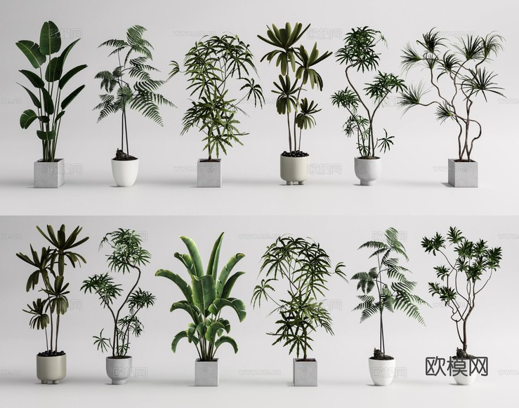 植物盆栽 落地盆栽3d模型下载
