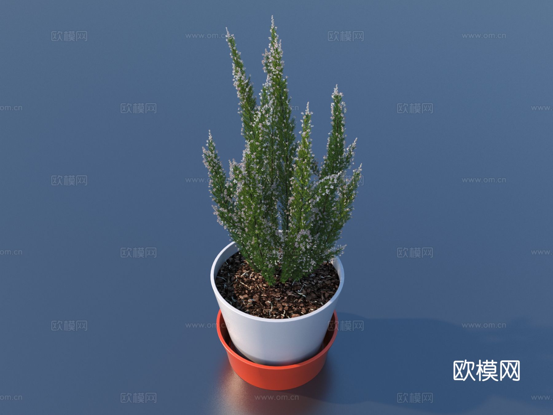 花盆 盆栽 绿植 植物3d模型