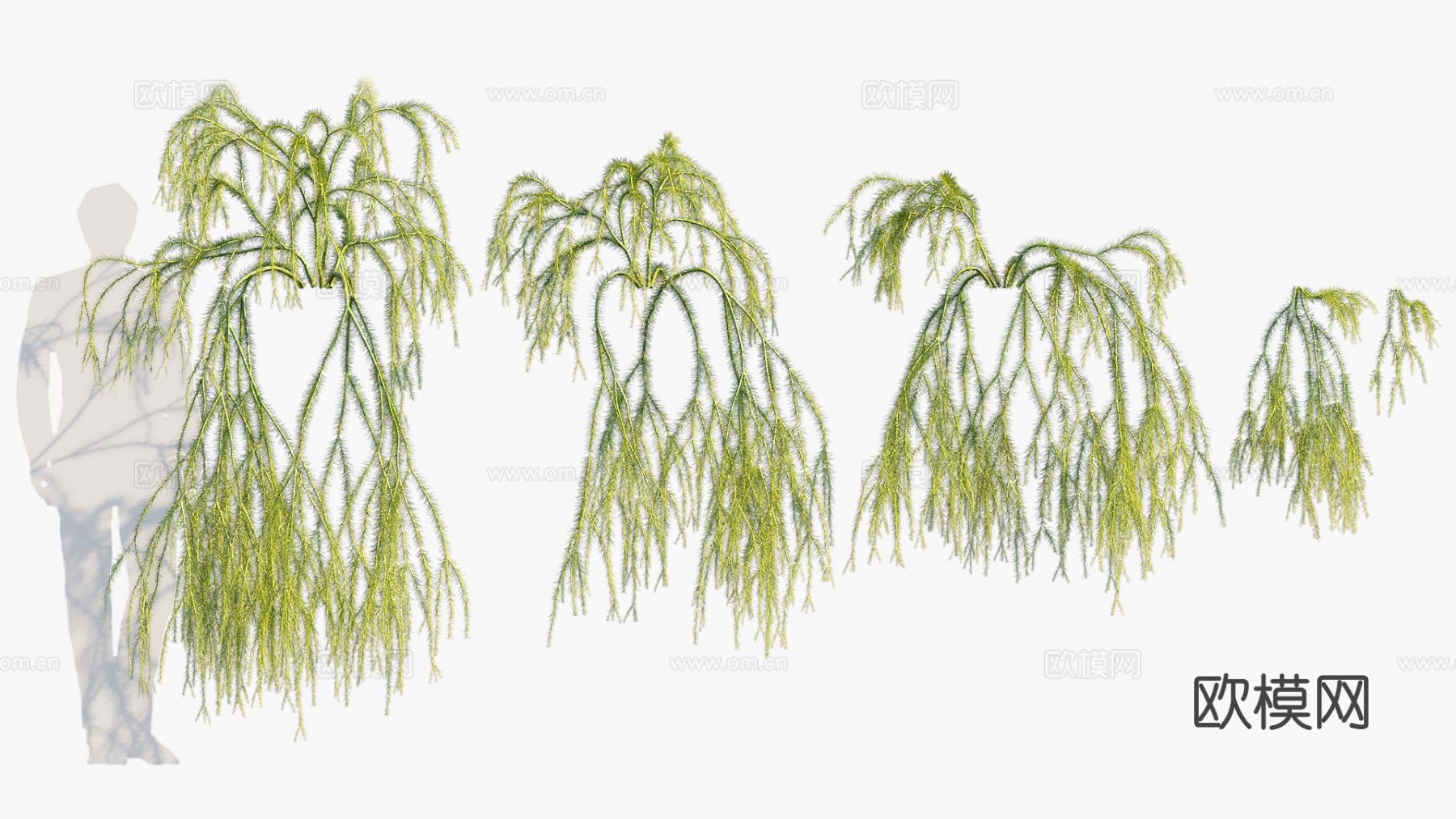 植物 花草 花卉 灌木3d模型