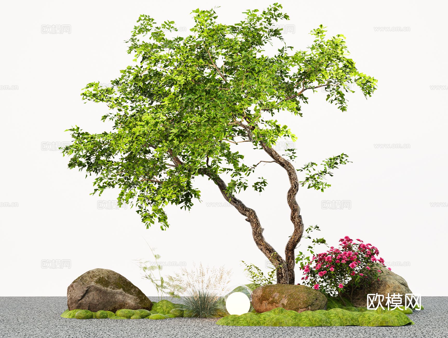 景观树红豆杉 斜飘树 造景树 园林树su模型下载（渲染图2）