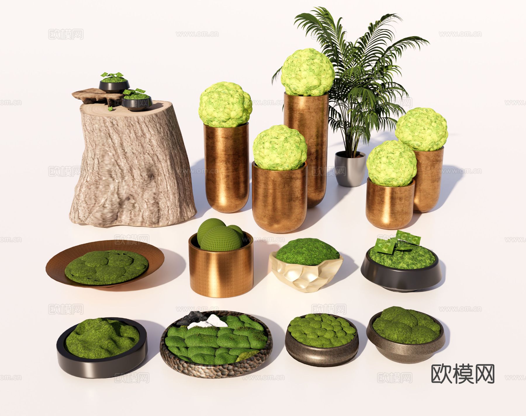 盆栽 苔藓 植物苔藓 摆件su模型