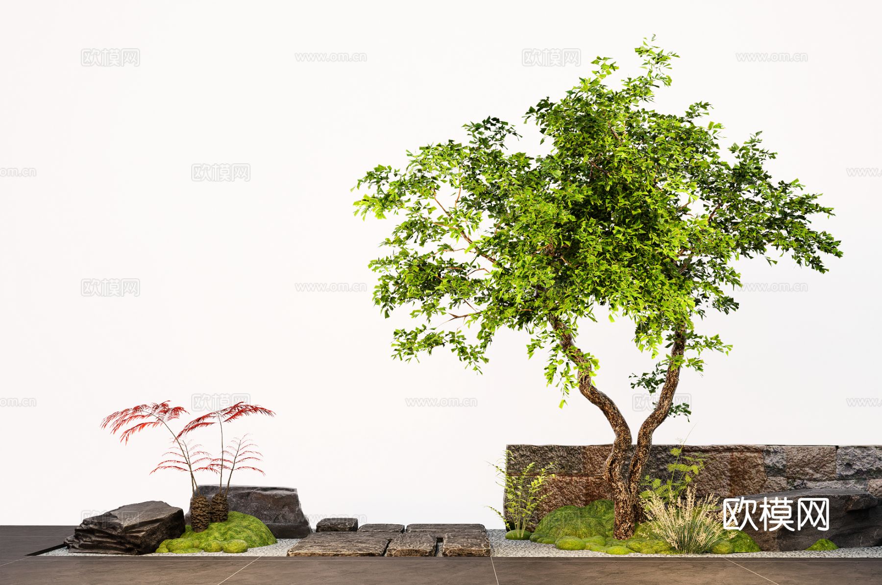 景观造型树 庭院树su模型下载（渲染图2）