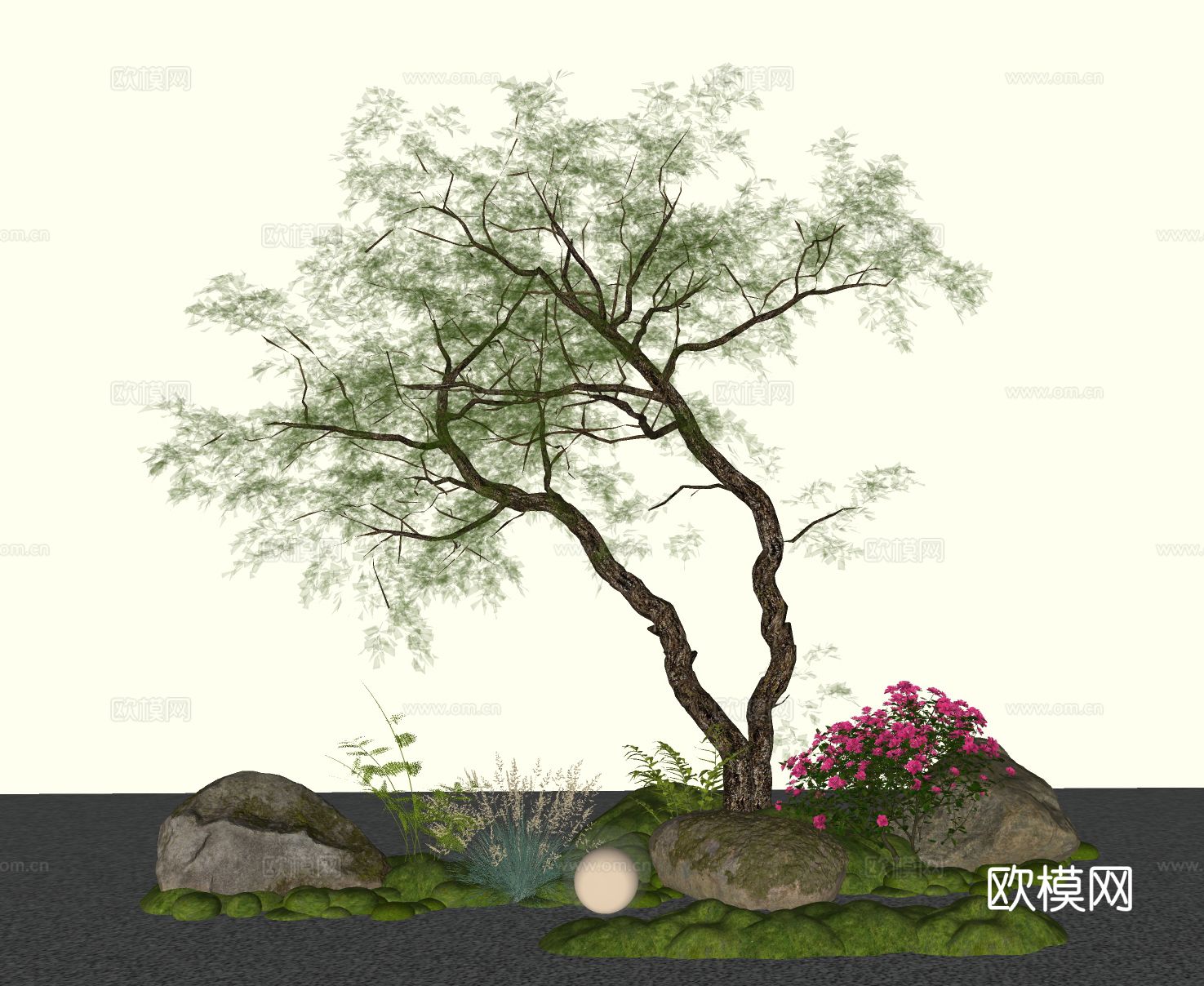 景观树红豆杉 斜飘树 造景树 园林树su模型下载（渲染图1）