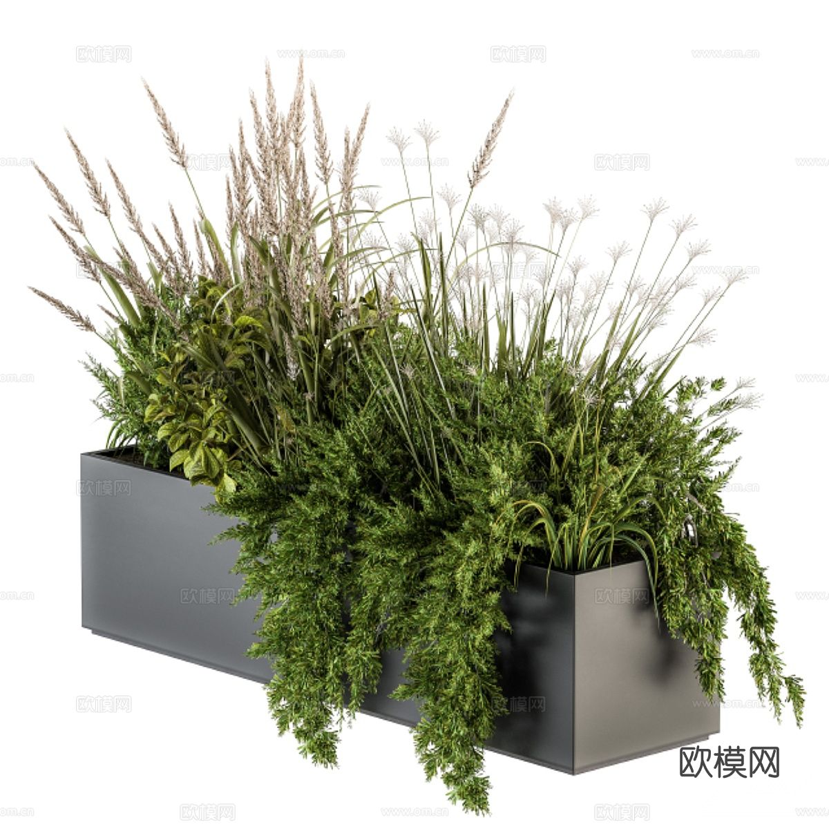 植物堆 盆栽 绿植 植物su模型