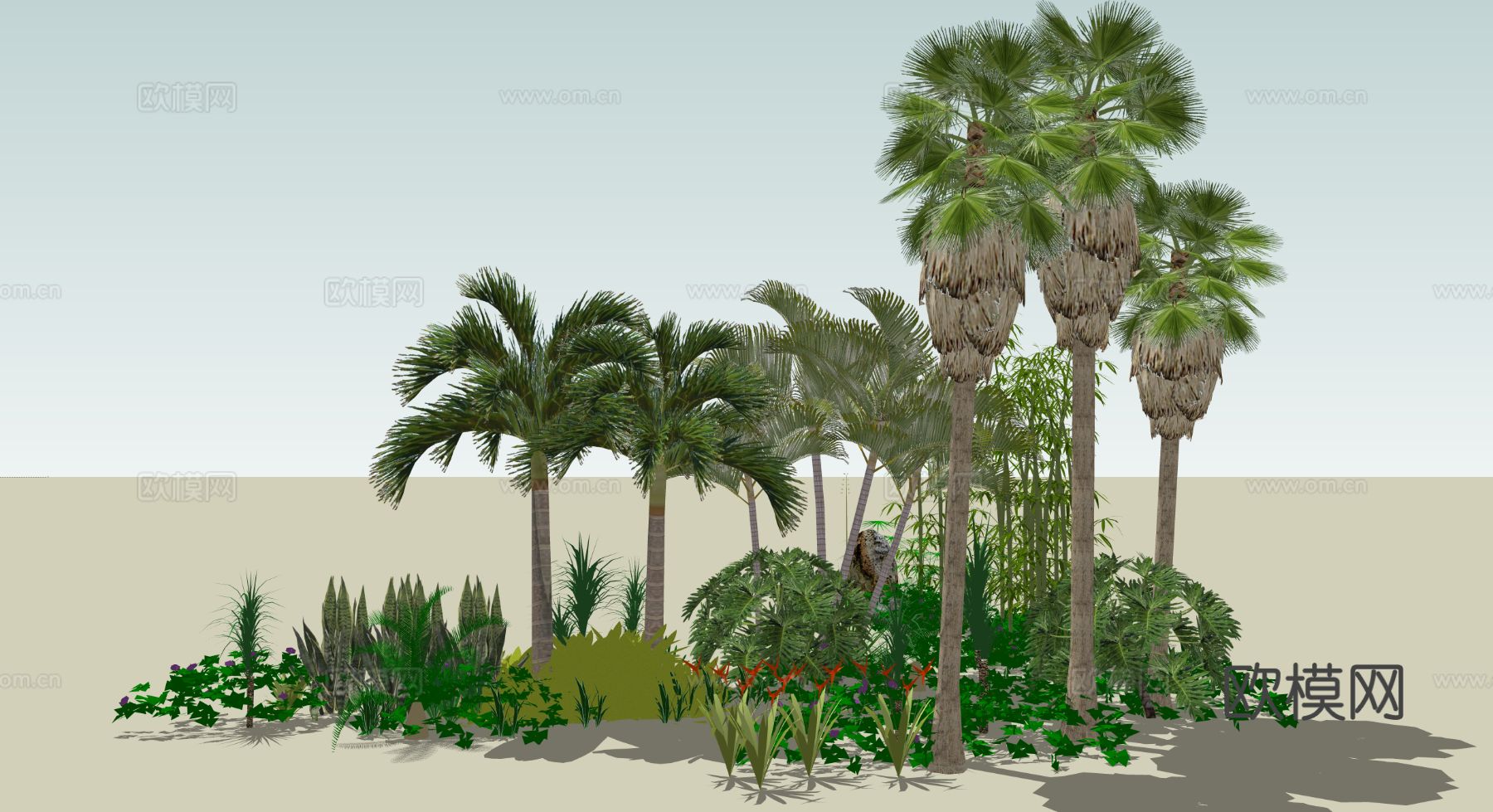 灌木 椰子树 棕榈su模型下载