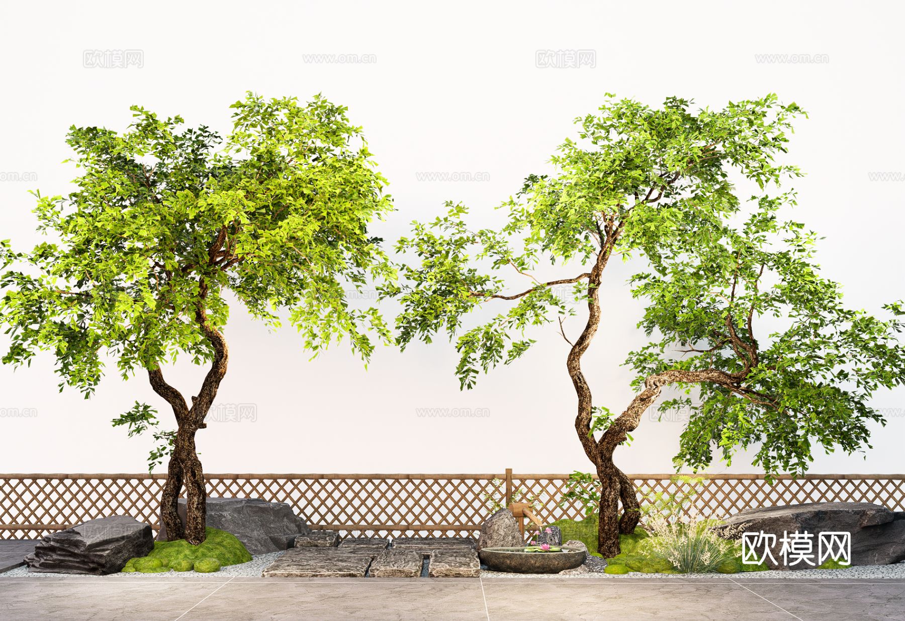 庭院景观造景树  斜飘树 行道树su模型下载（渲染图2）
