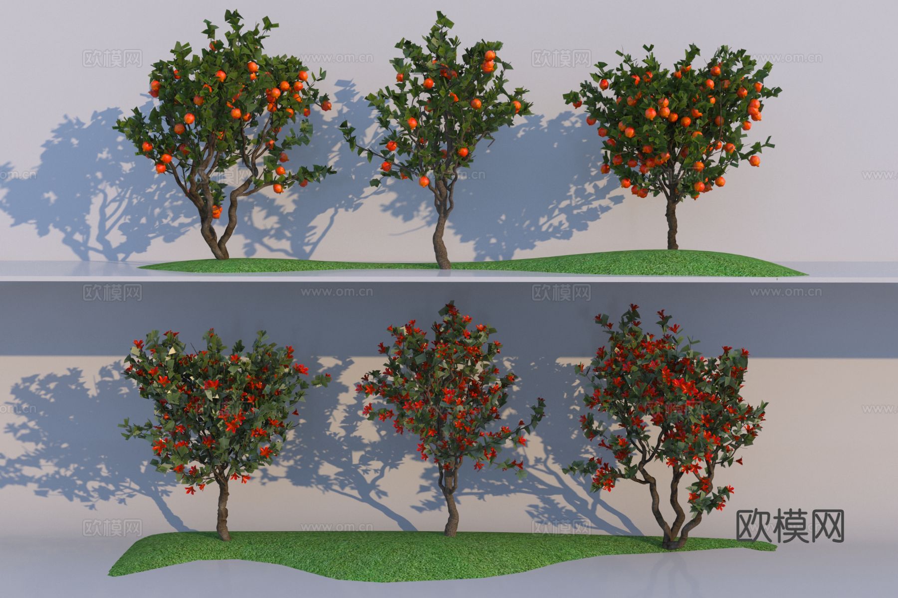 乔木 石榴树 景观树 大树3d模型