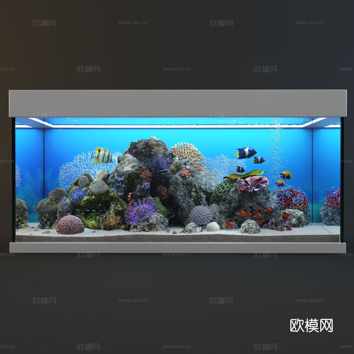 鱼缸 水族箱3d模型