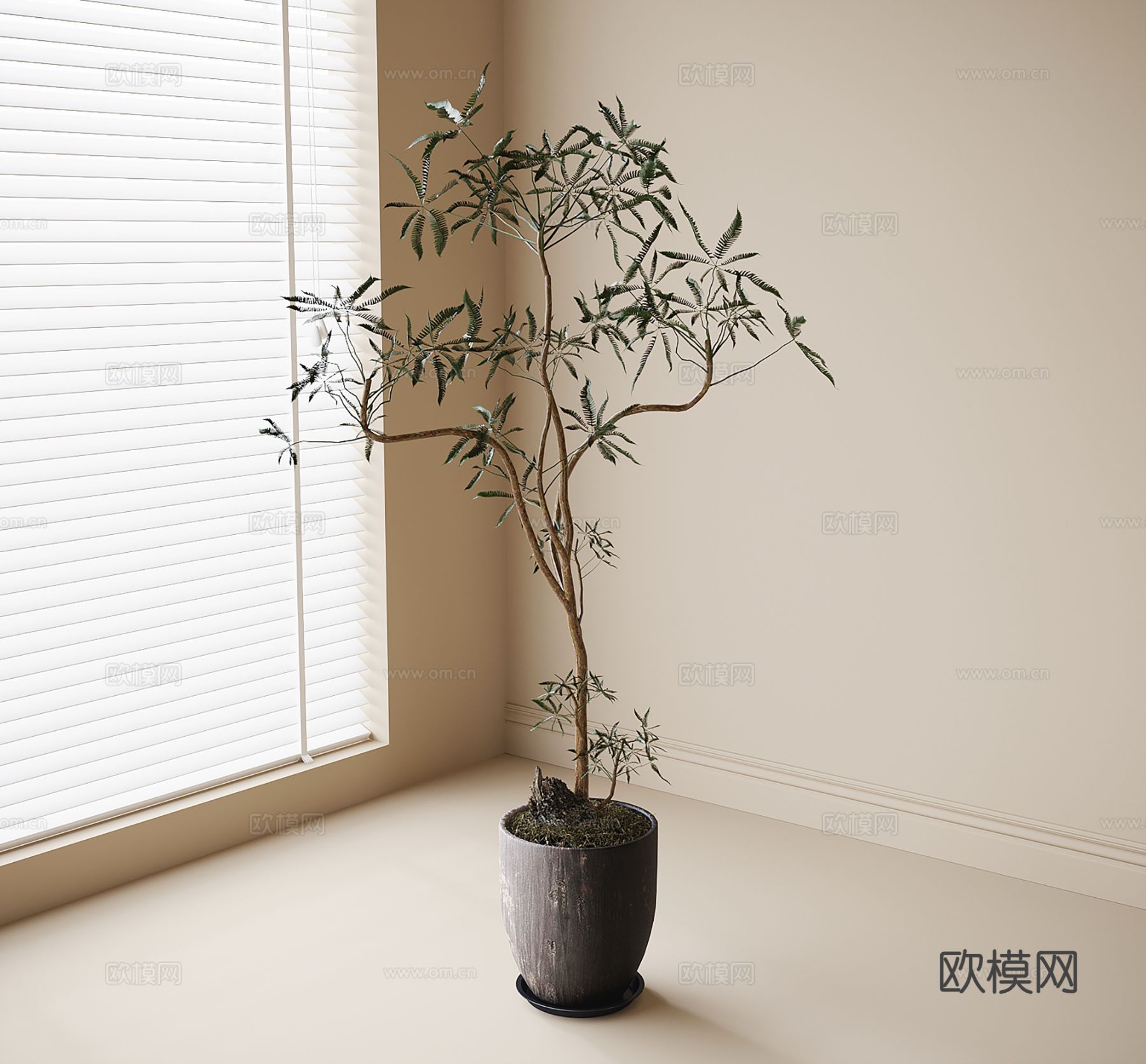 现代盆栽 盆景 绿植su模型