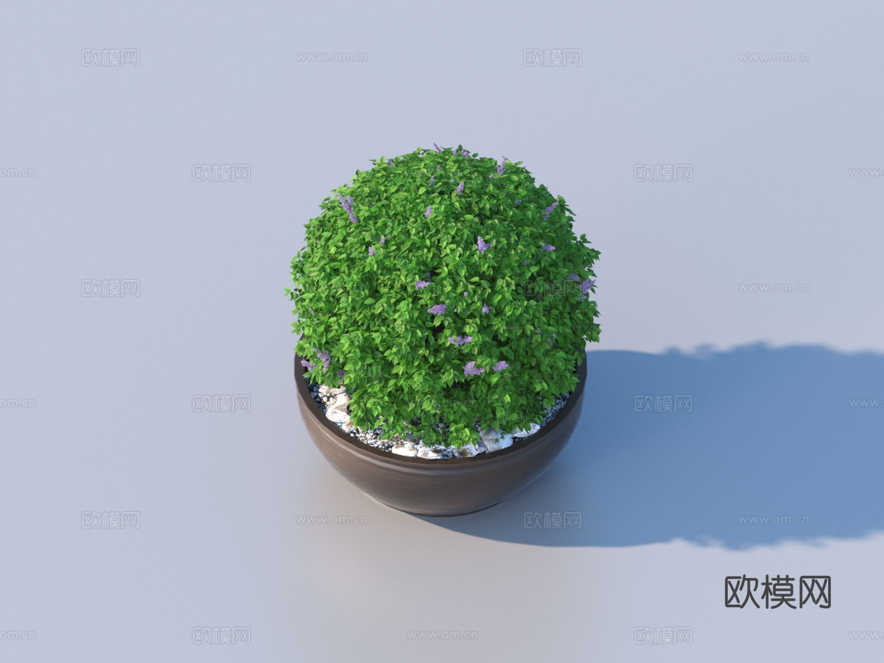 植物盆景  绿植 花盆3d模型