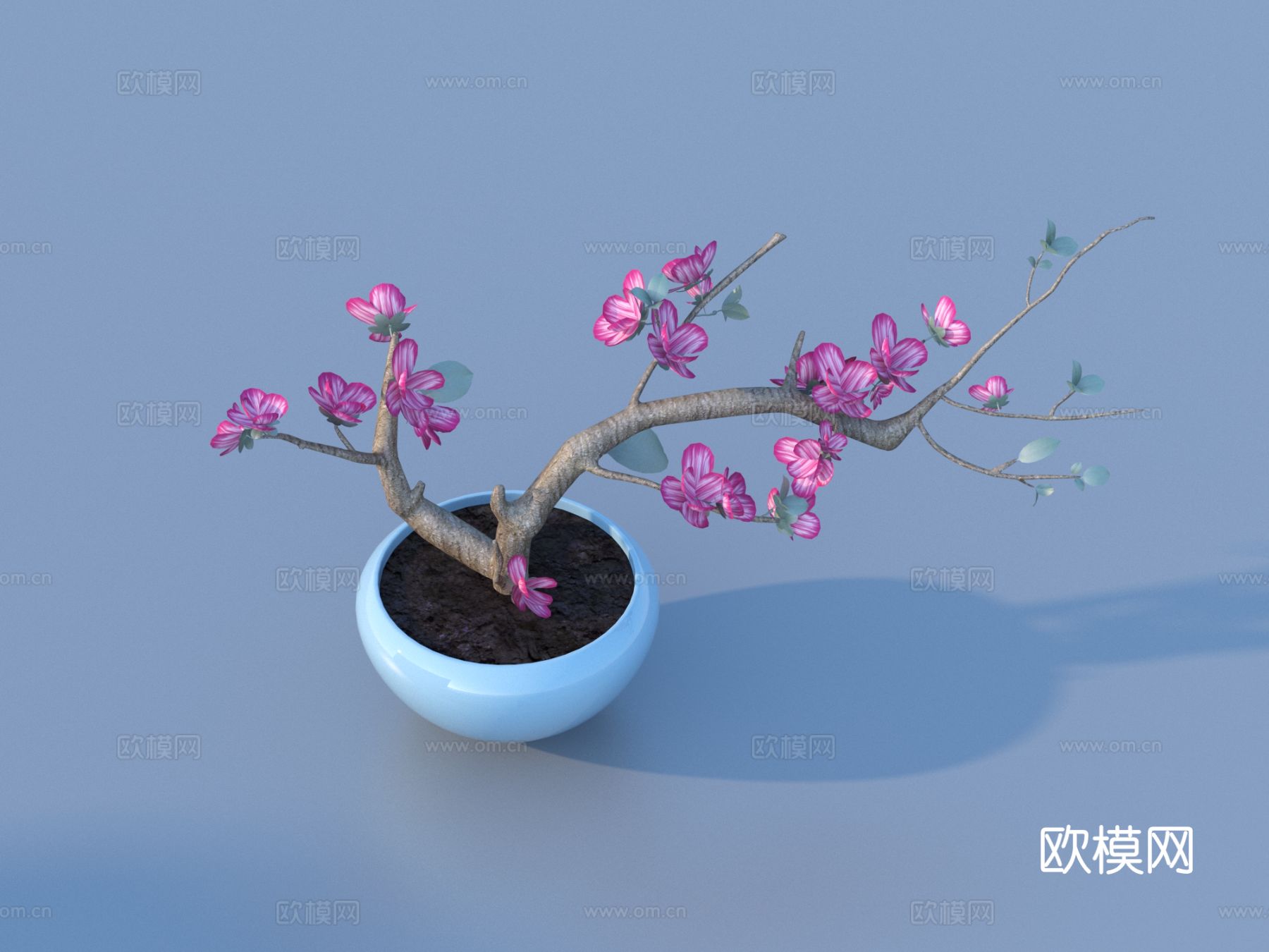 花盆 盆栽 绿植 植物3d模型