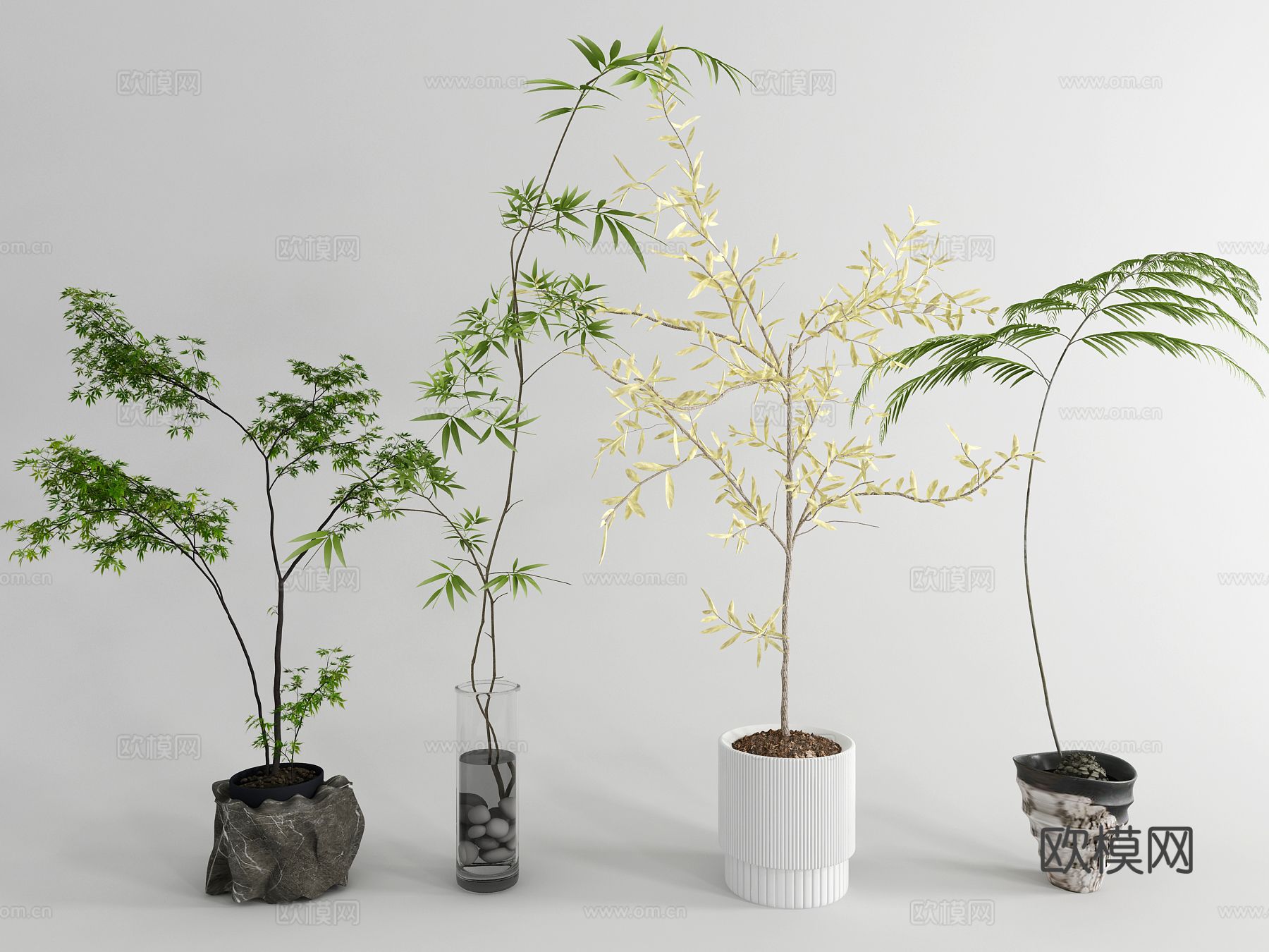 植物盆栽 绿植盆栽3d模型