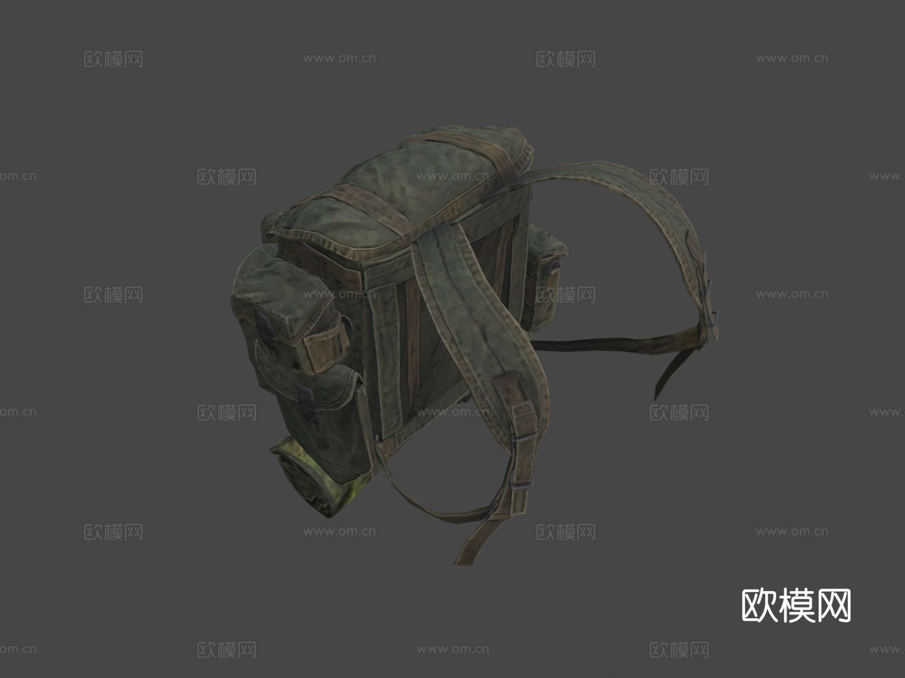 热带背包su模型下载（渲染图5）