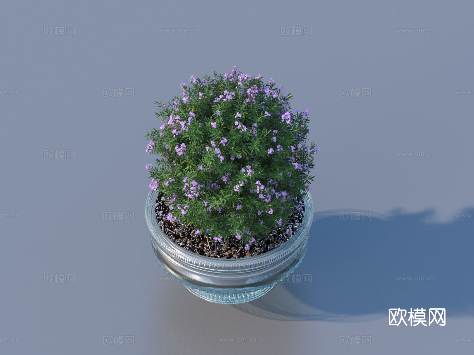 花盆 盆景 绿植 植物3d模型