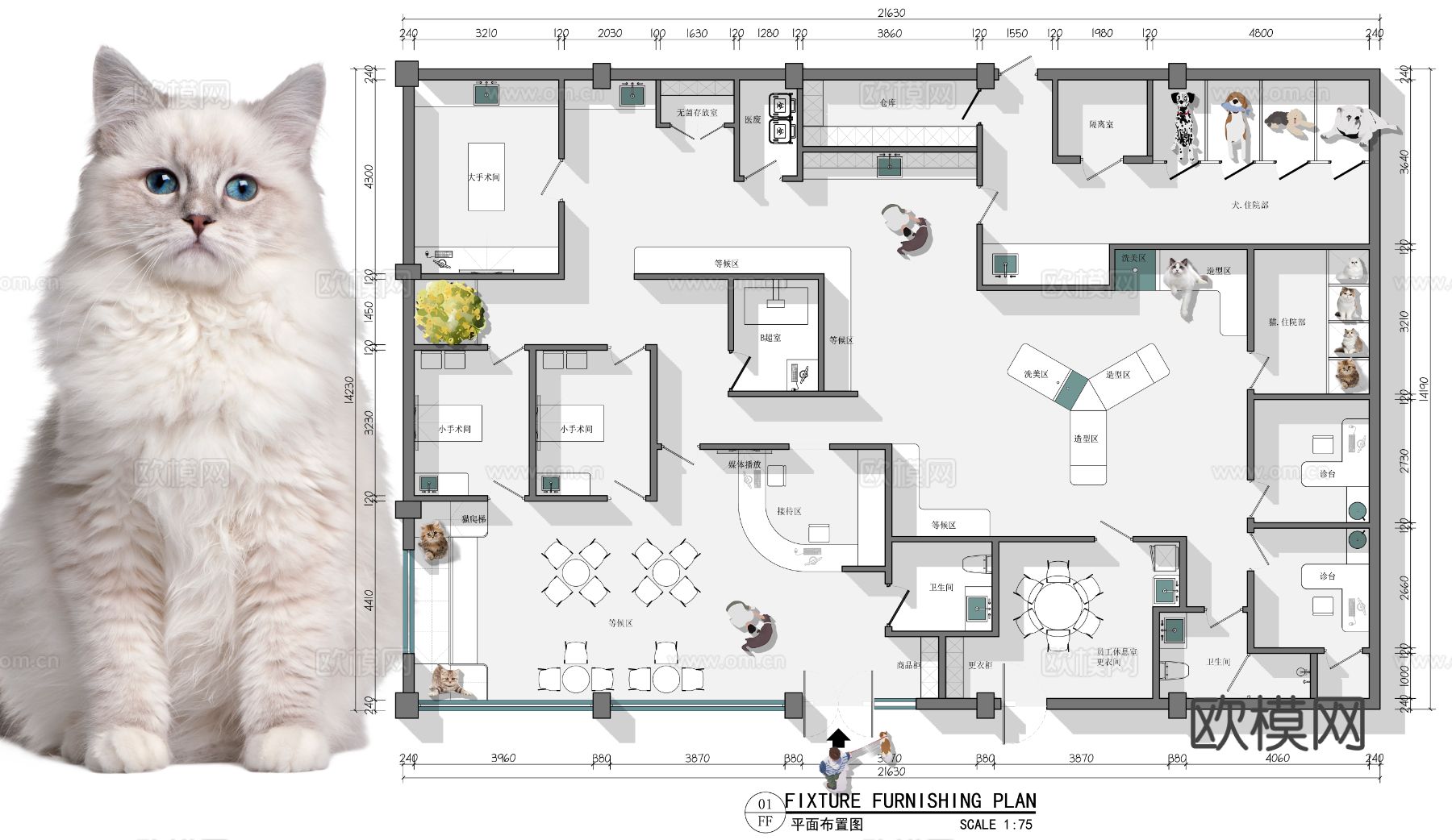 宠物医院CAD平面图