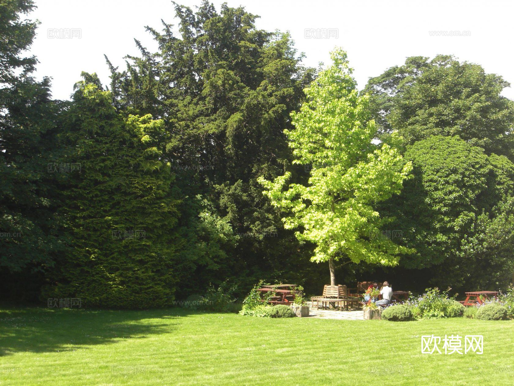 小区园景材质下载