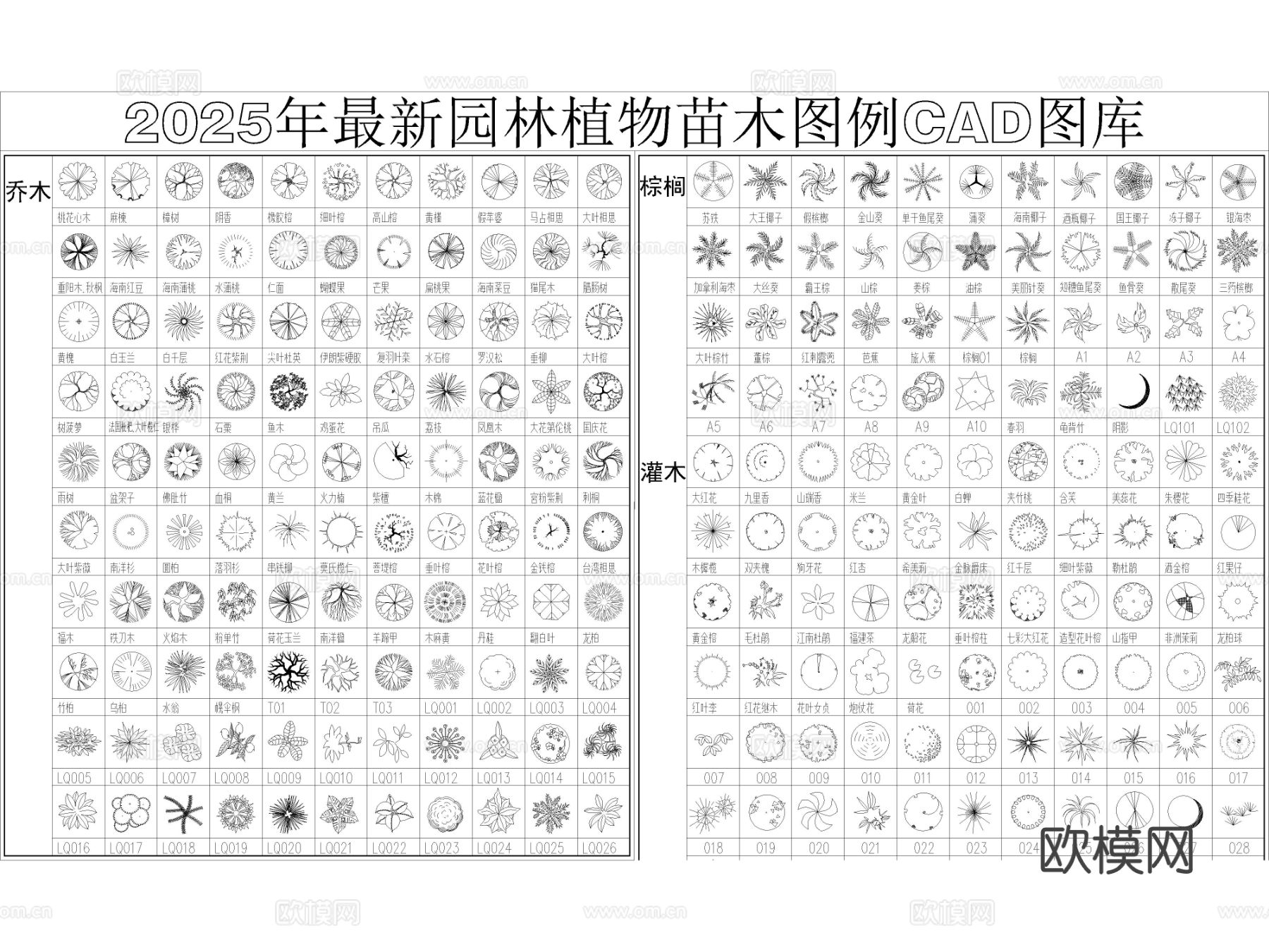2025年最新园林植物乔木CAD图库