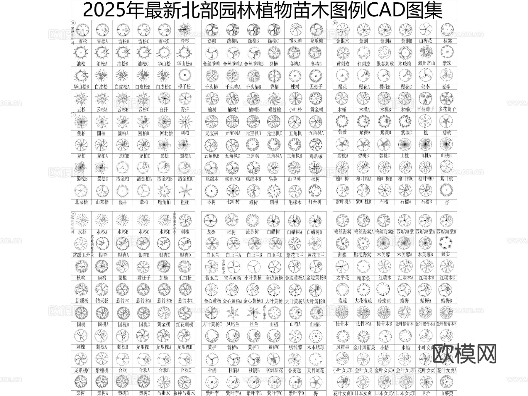 2025年最新北部园林景观CAD图集
