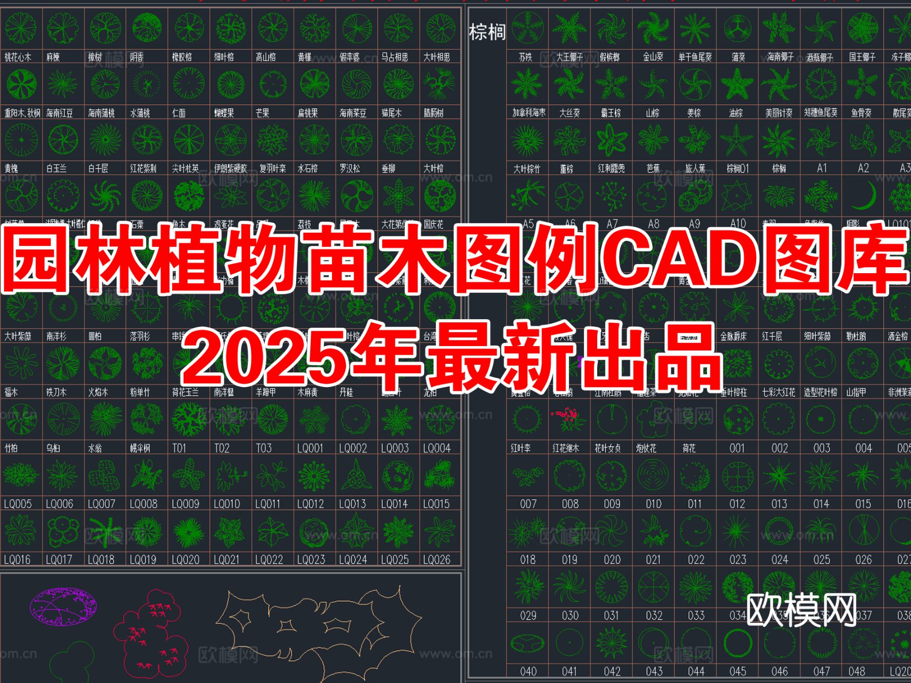 2025年最新园林植物乔木CAD图库
